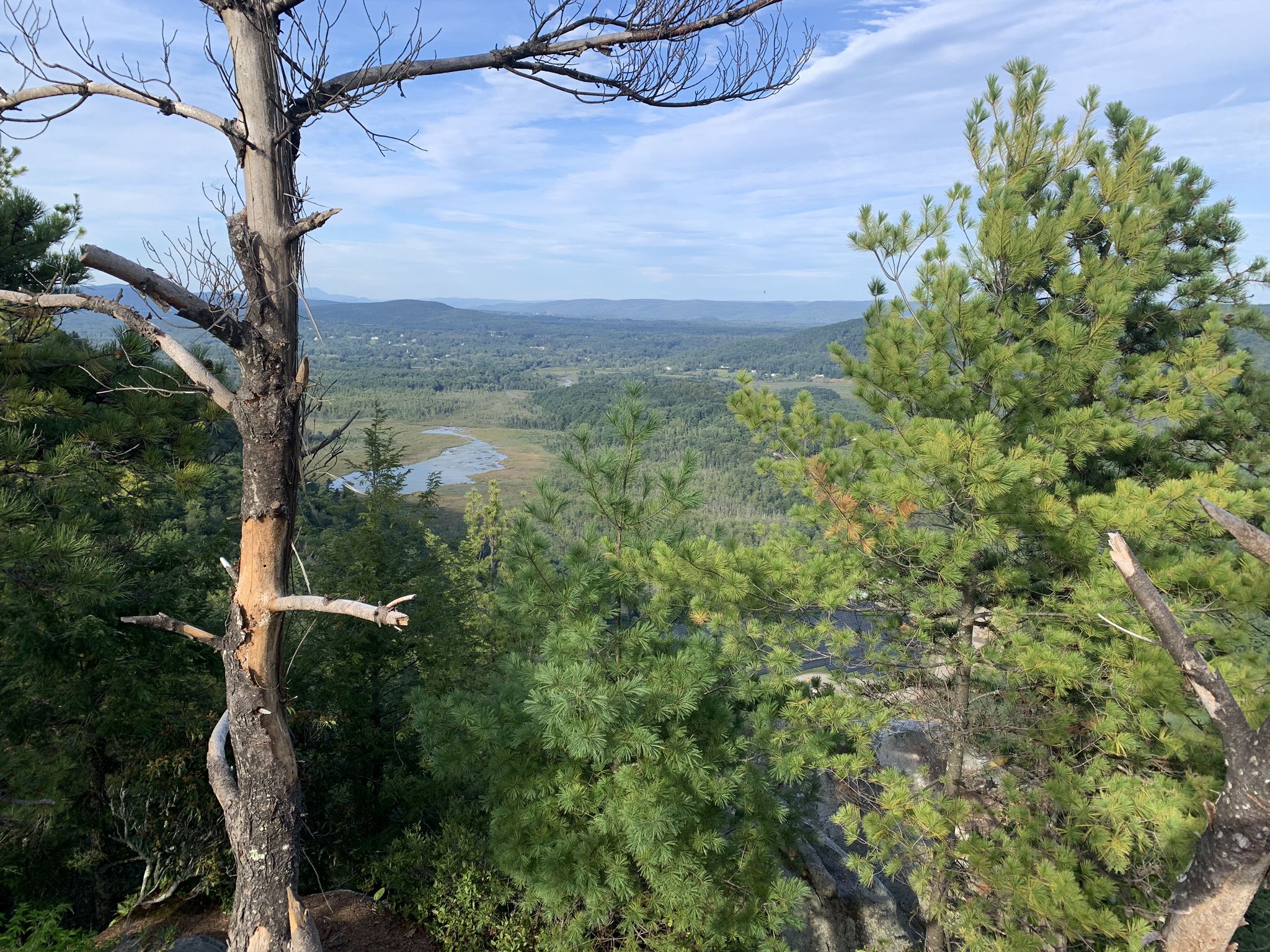 A scenic mountain vista with green trees, a valley, and a distant lake under a bright sky. - Hickey and Peeskawso Peak Loop