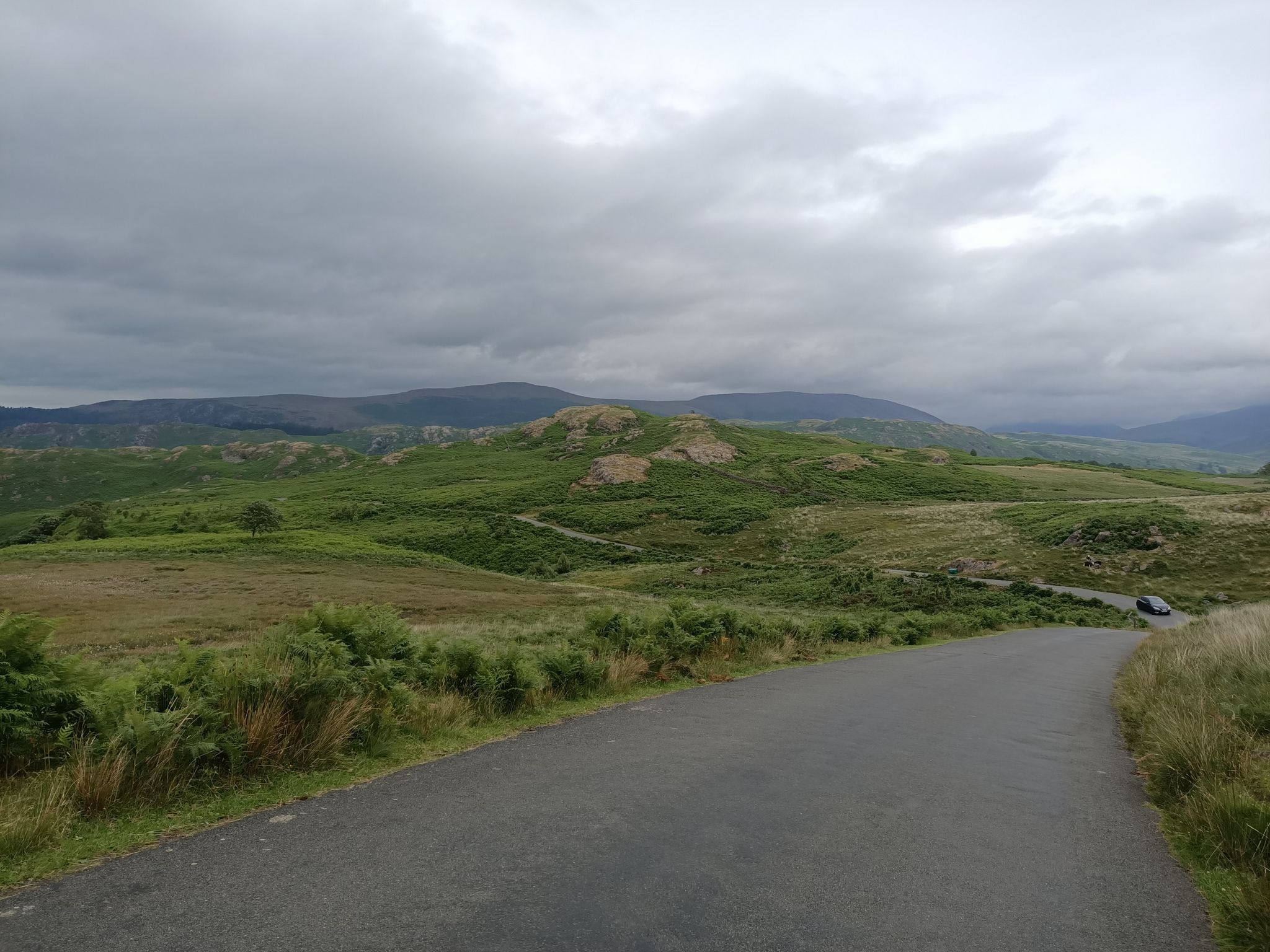 birker fell