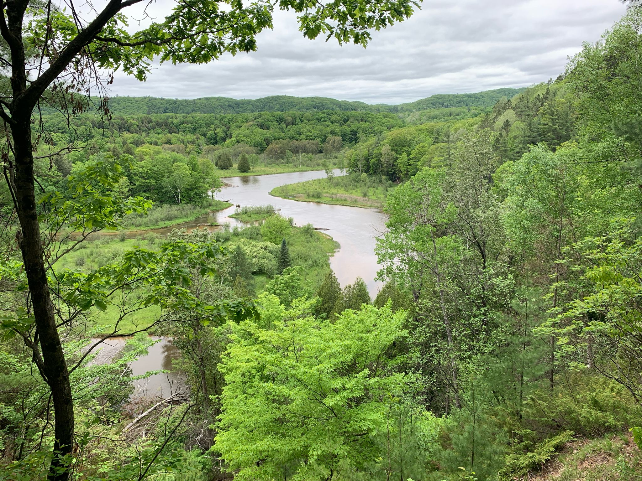 A winding river meanders through vast, lush green forested hills on an overcast day. - Slagle Creek Overlook loop from Red Bridge Lookout Tower