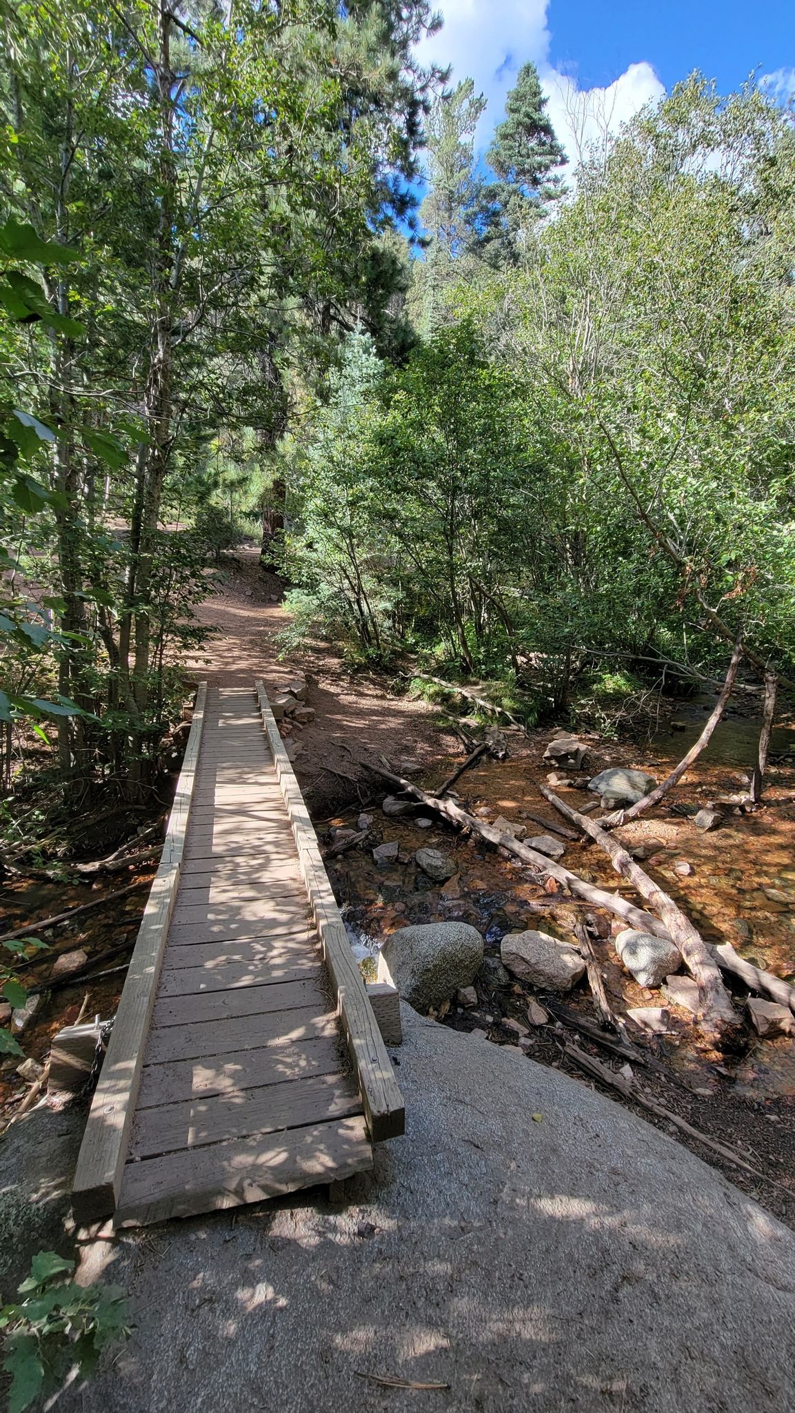 A wooden footbridge crosses a rocky stream in a lush, sunlit forest. - Borrego (150), Windsor (254) and Bear Wallow (182) Trail Loop