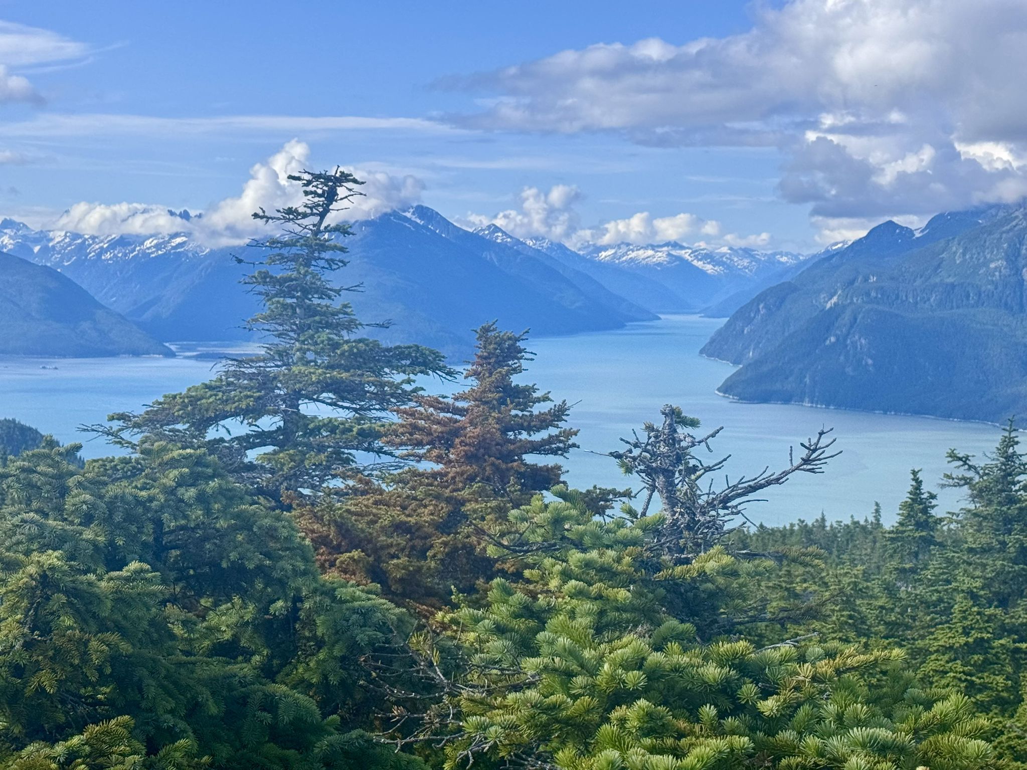 Cloudy day, evergreen trees frame a wide body of water and snow-capped mountains. - Mount Riley Trail