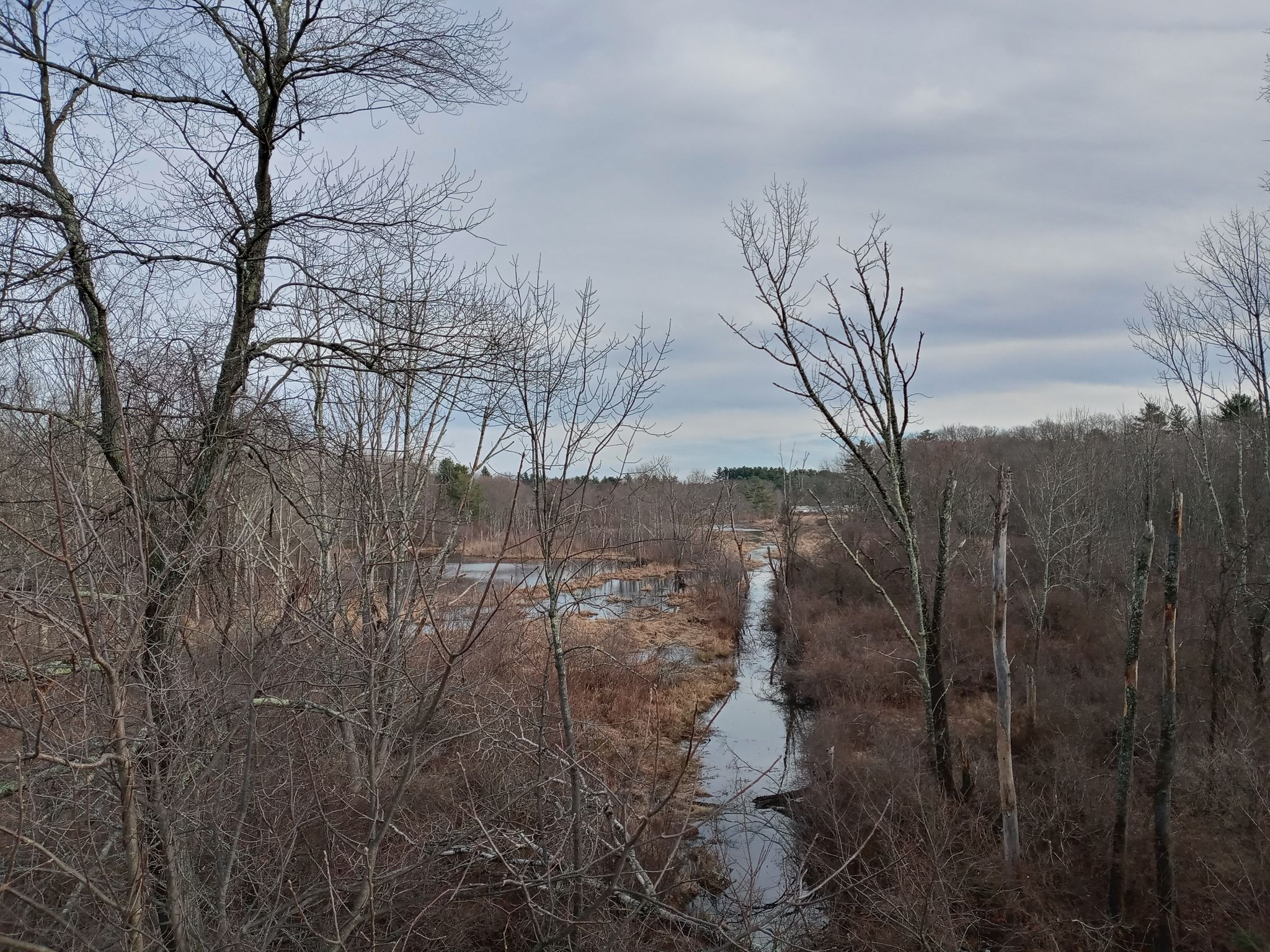 Overcast view of a narrow waterway through a bare winter forest and marsh. - Ashland Reservoir – Ashland Reservoir Dam loop from Broadmoor Wildlife Sanctuary