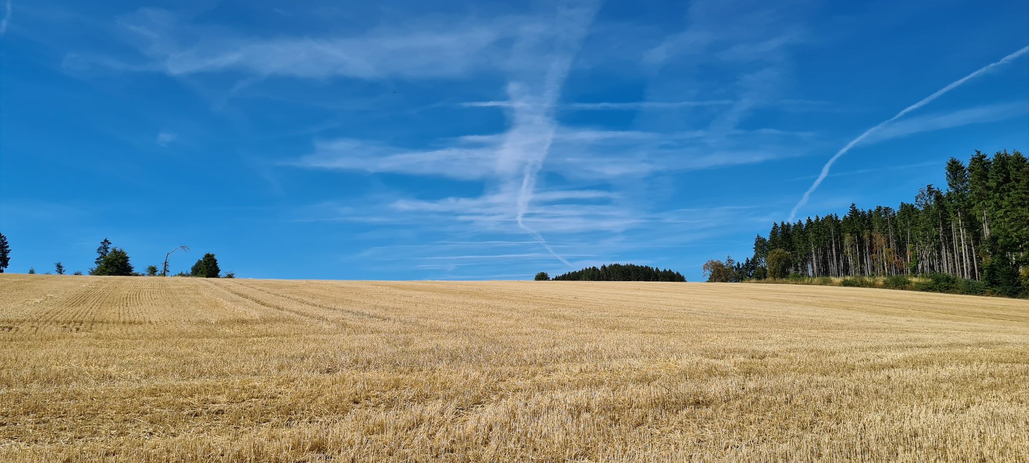 Spätsommerimpressionen