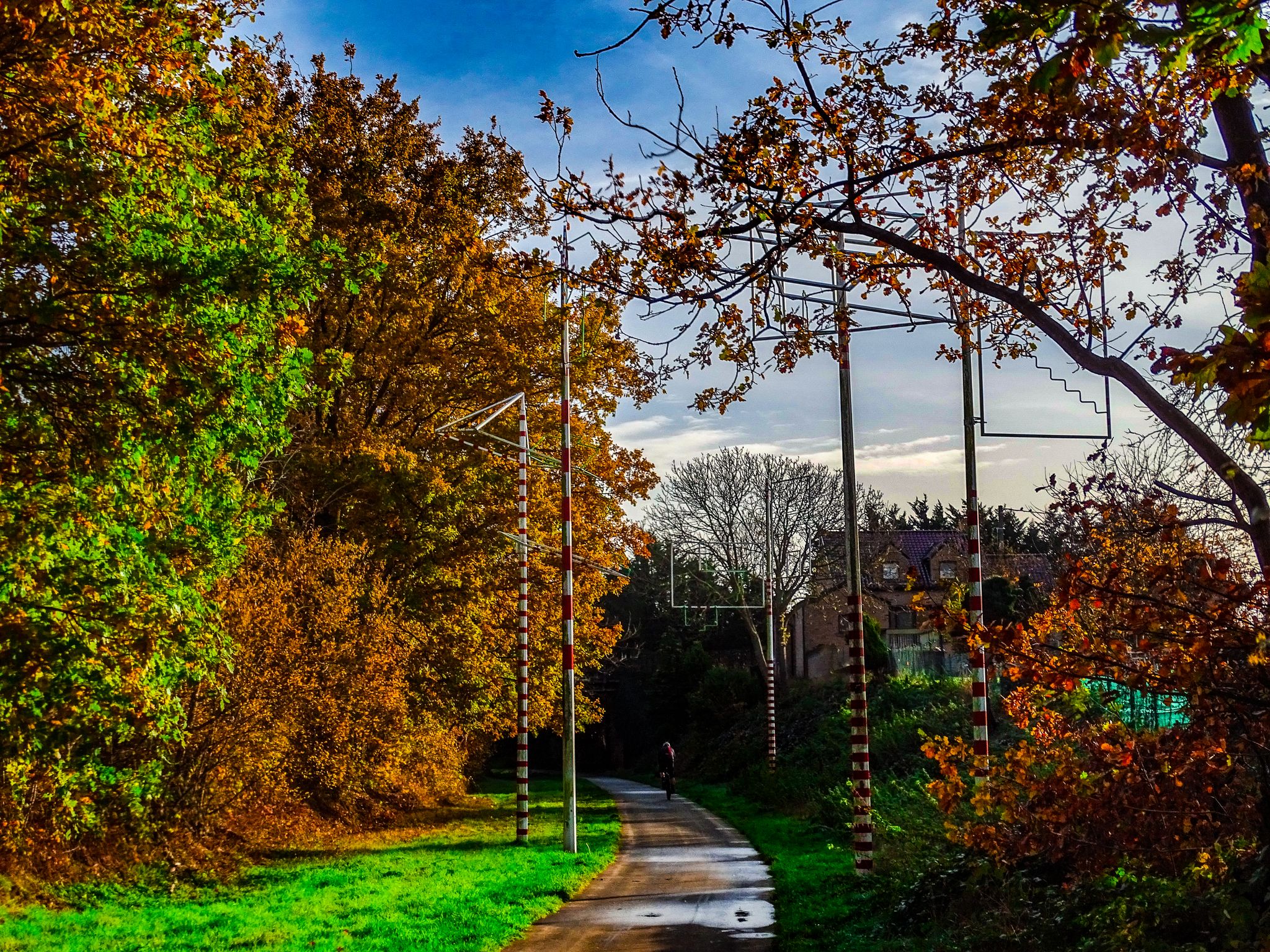 Les arbres à valises
