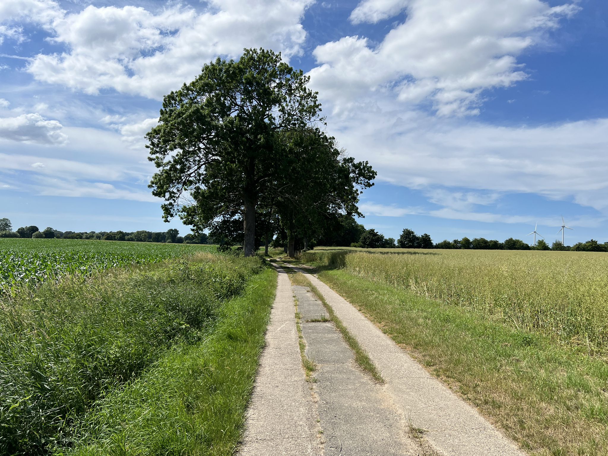 Spurplattenweg in der Probstei