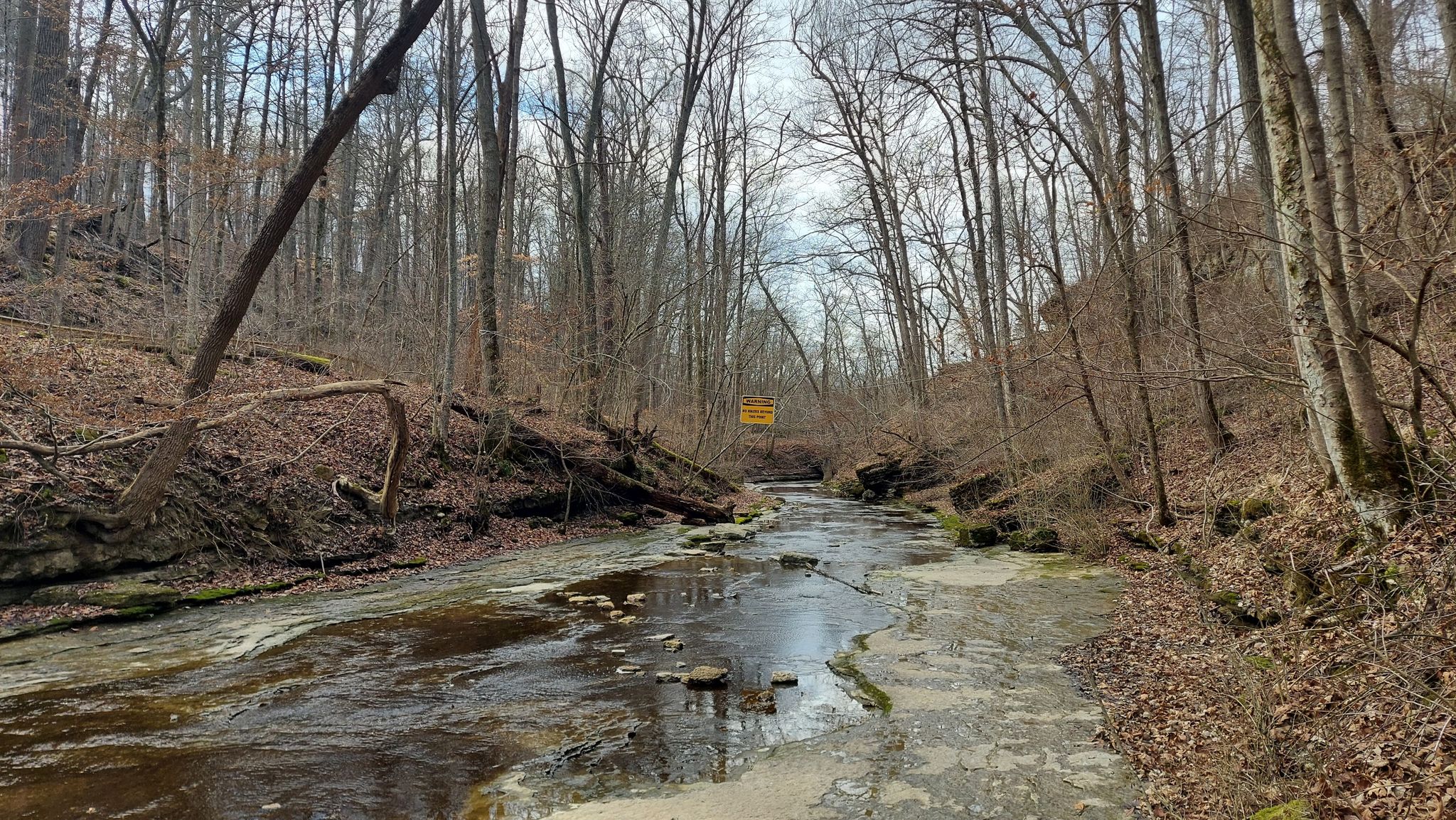 A stream flows through a bare winter forest with a distant yellow sign. - Clifty Falls: Trail 5, 2, and 8 Loop