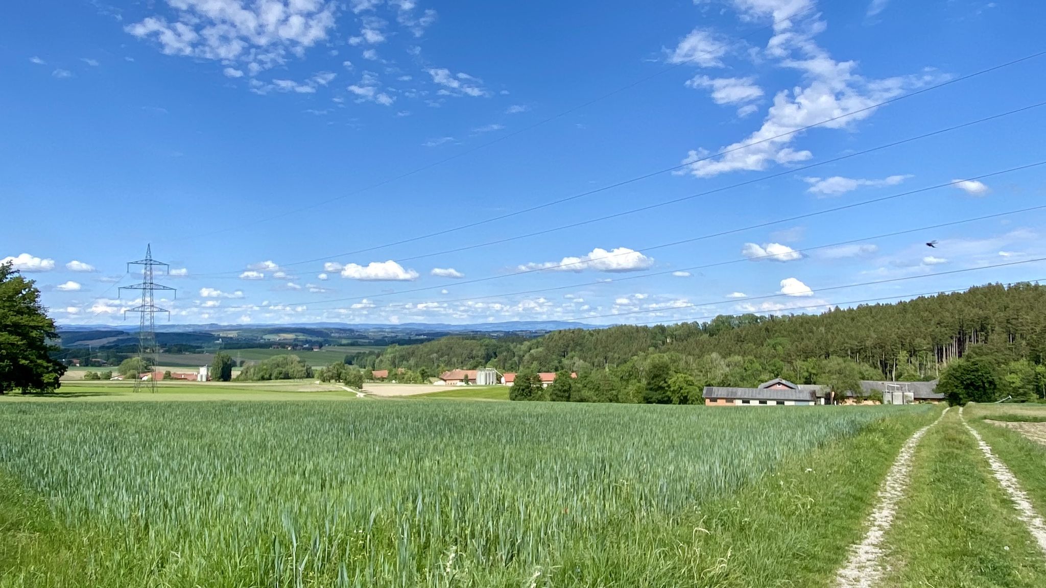 Höfe "Sinzing"