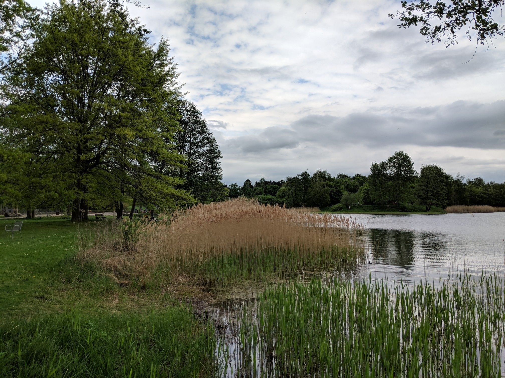 Am Hauptsee