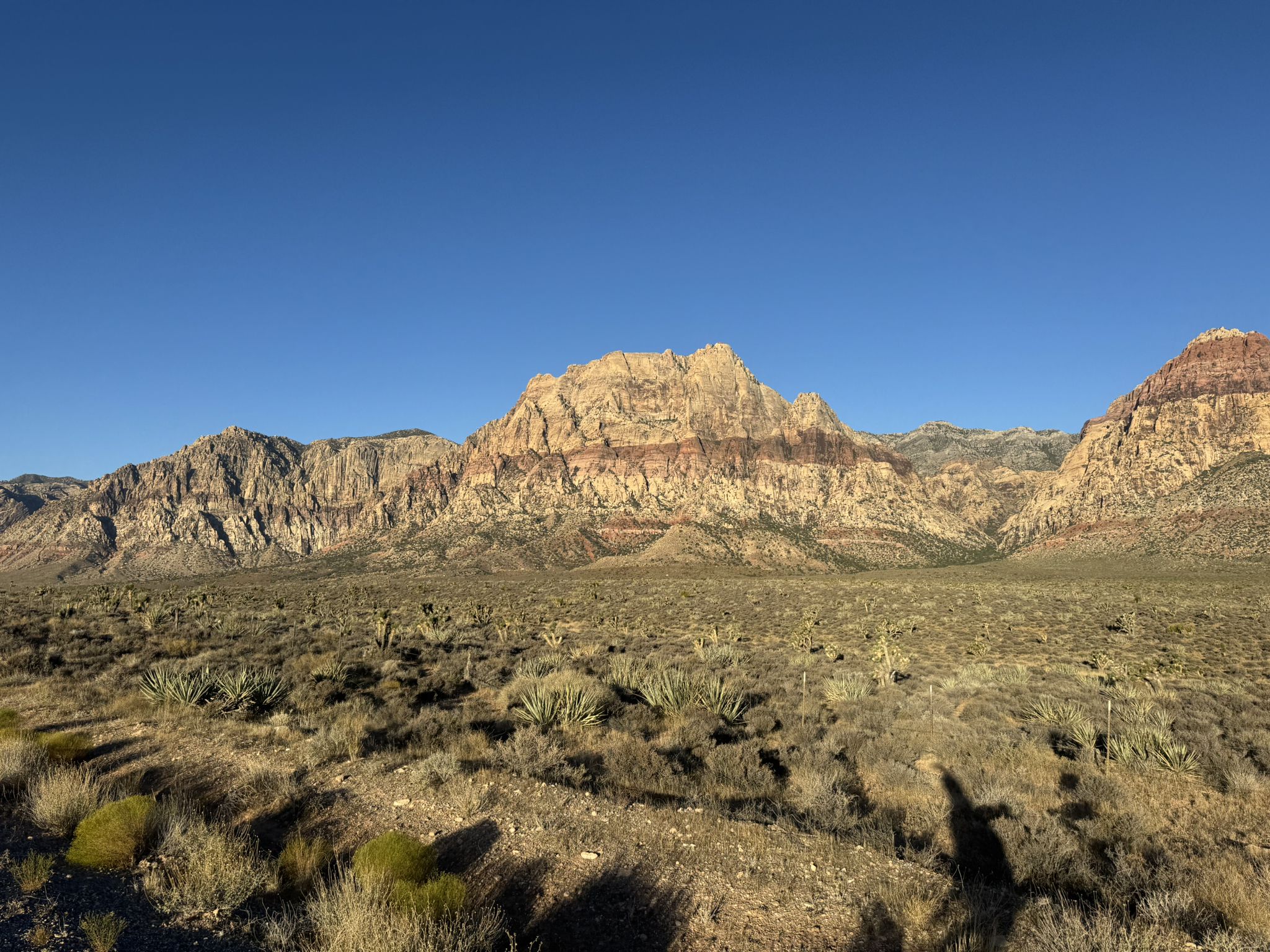 Desert landscape with large red rock mountains under a clear blue sky. - Calico Basin from Blue Diamond — Red Rock Canyon National Conservation Area