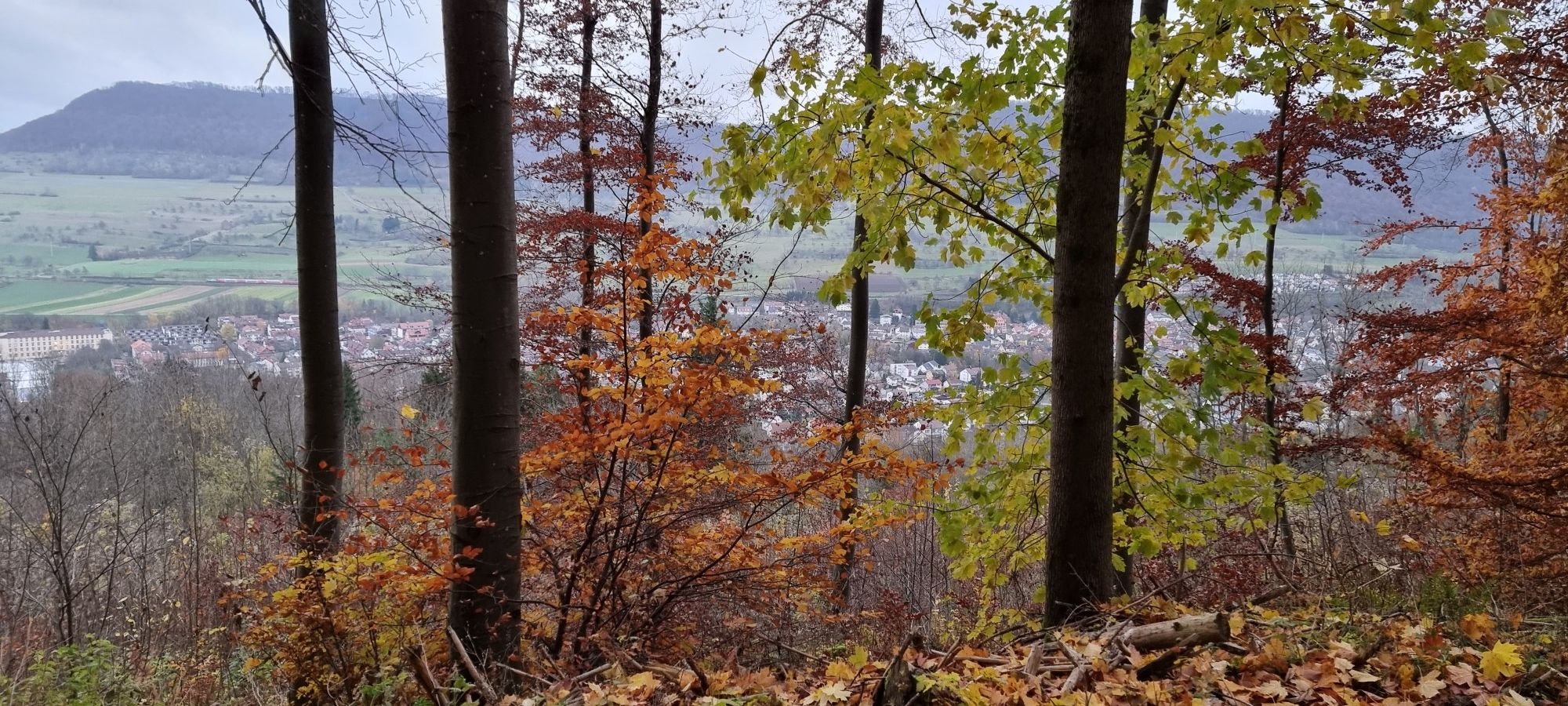 Blick auf Kuchen