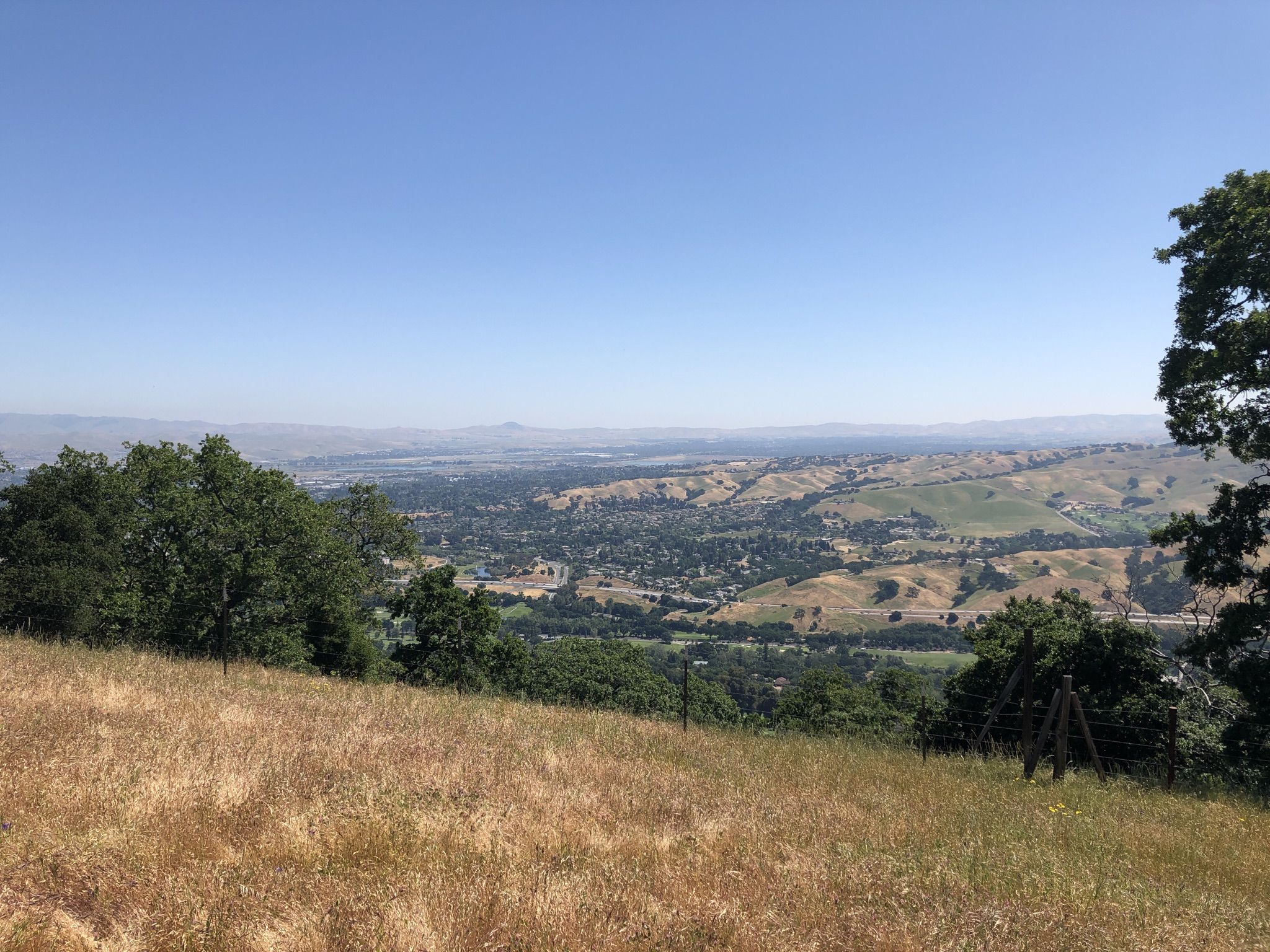 Panoramic view of a town nestled in a valley from a grassy hillside. - Pleasanton Ridge Regional Park – Foothill Road — Pleasanton loop from Pleasanton