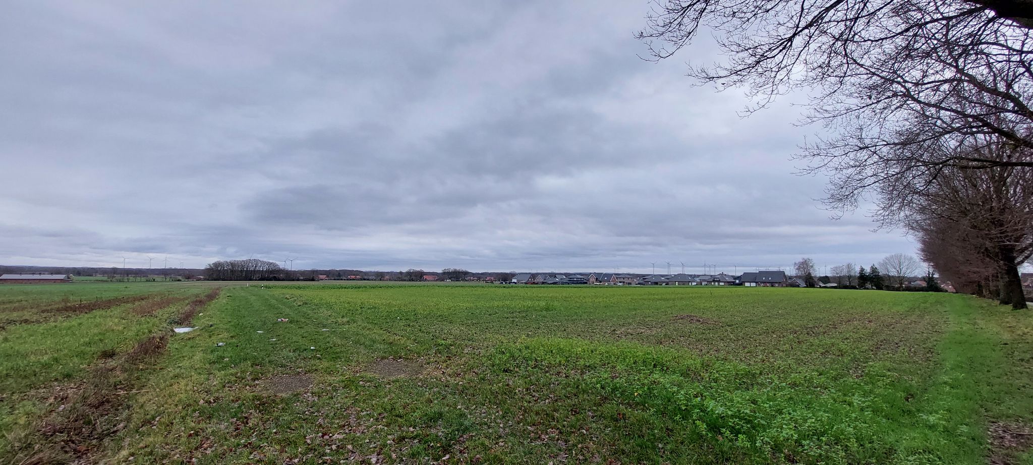 Blick ins Emsland (bis Ibbenbüren)