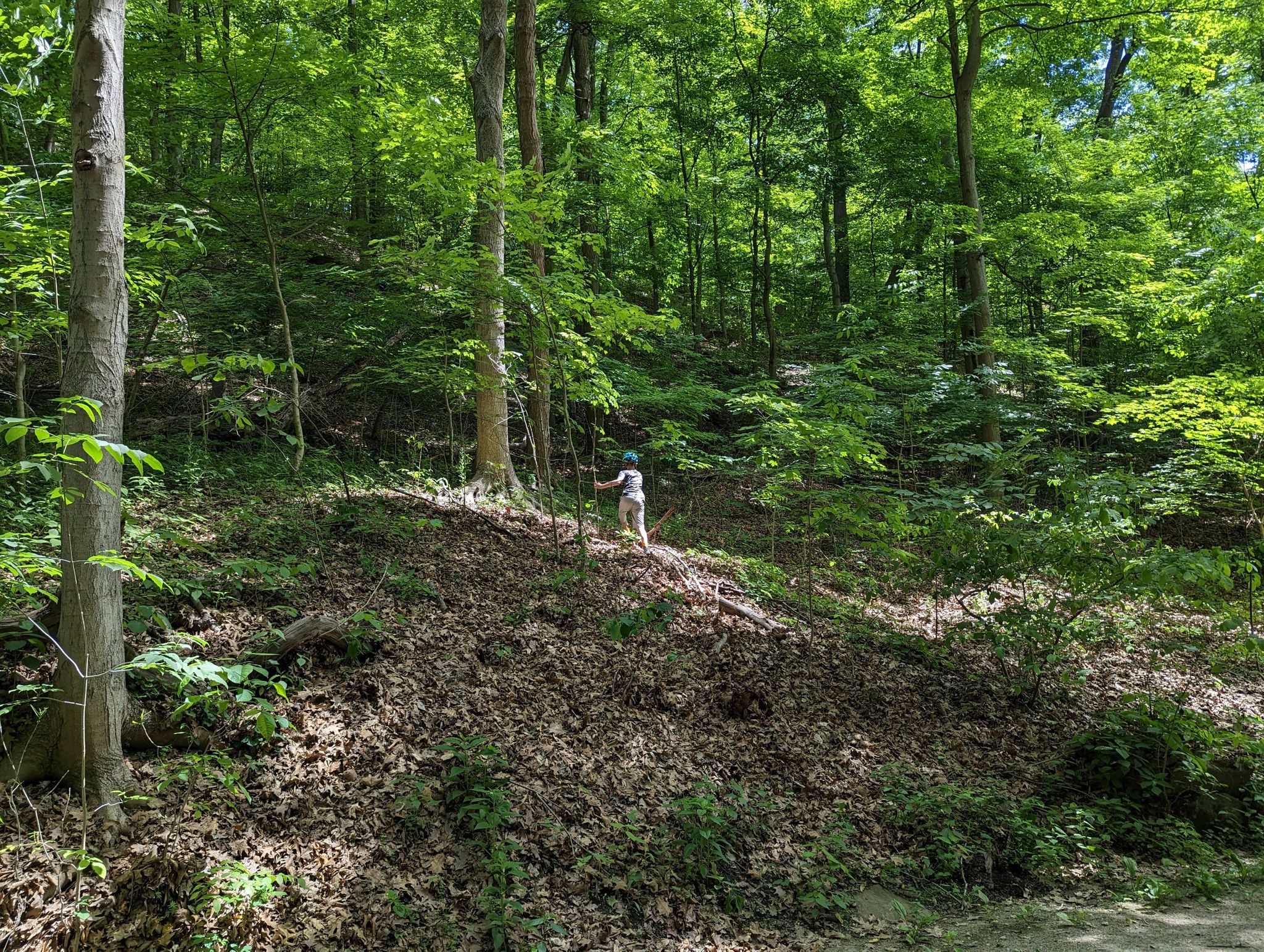 A small child stands on a steep, leaf-covered hill in a dense forest. - Westinghouse Memorial – Panther Hollow Lake loop from First Avenue