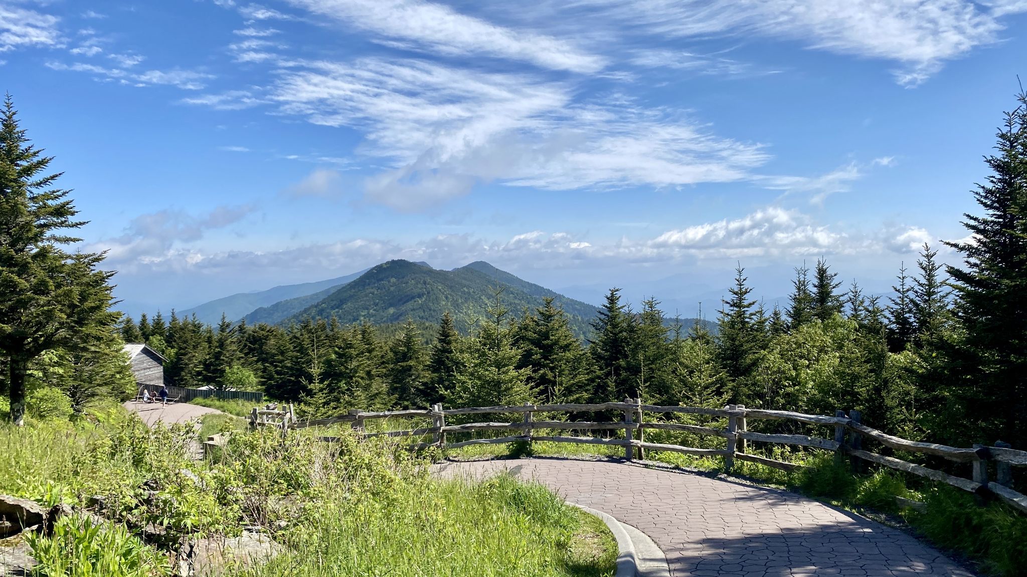 Paved path and wooden fence leading to mountain vista with evergreen trees. - Mount Mitchell Trail