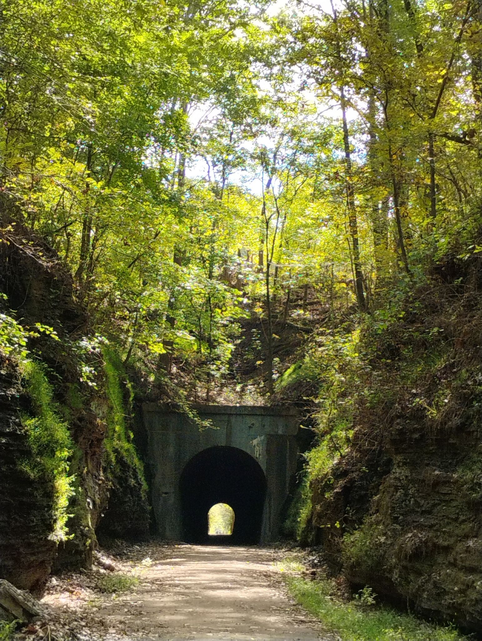 A dark tunnel entrance on a dirt path, surrounded by sunlit green trees. - Tunnel Hill – Vienna Trail Headquarters – Tunnel Hill Trail – The Tunnel loop from Cache River State Natural Area