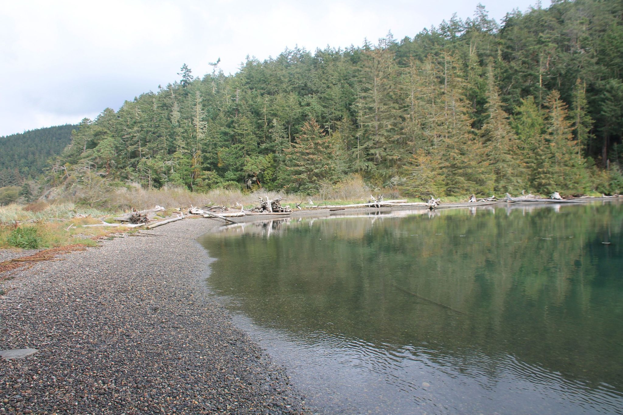 Overcast view of a pebble beach, calm water, and a dense evergreen forest. - Lighthouse Point Loop