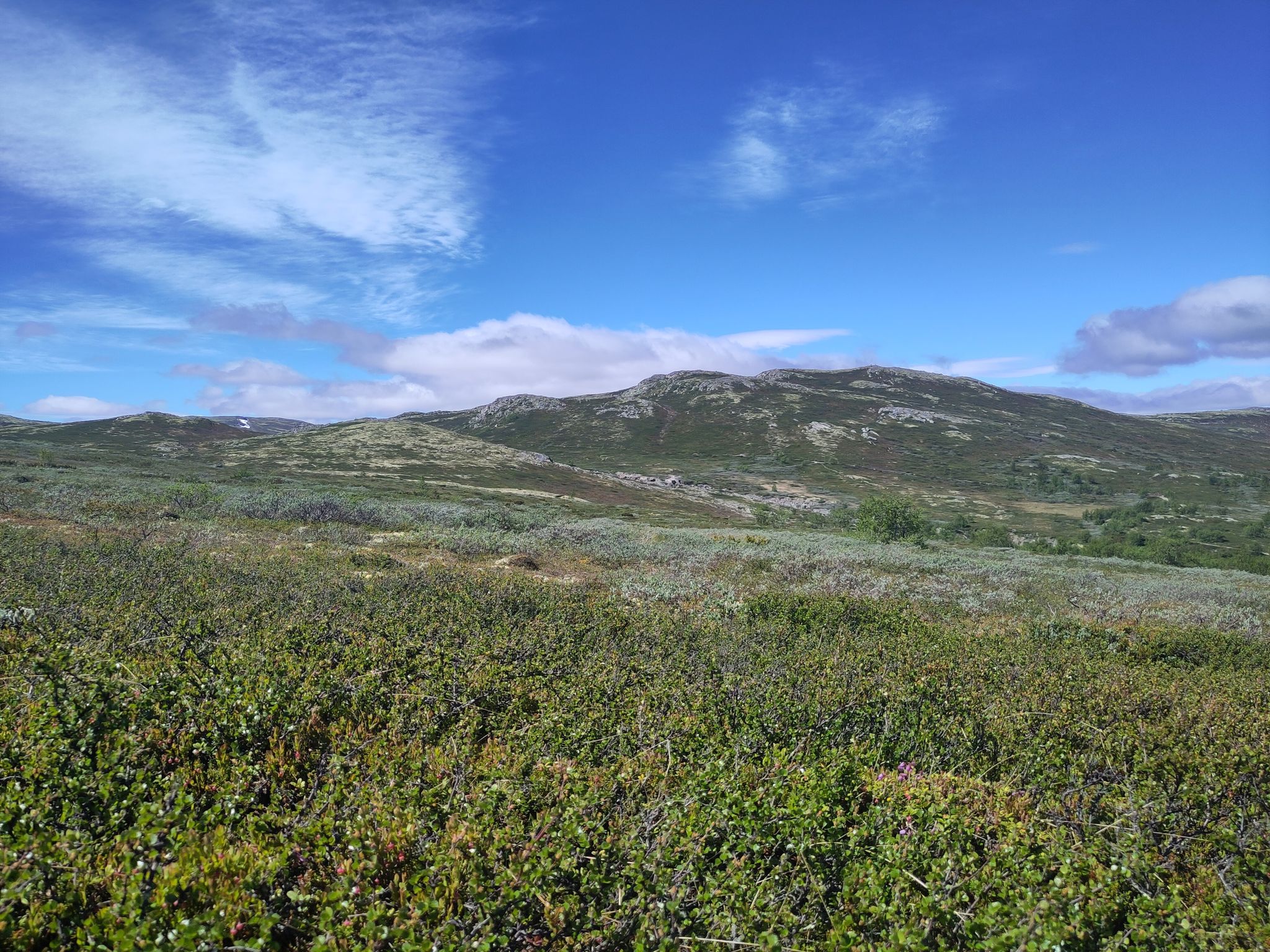 above treeline