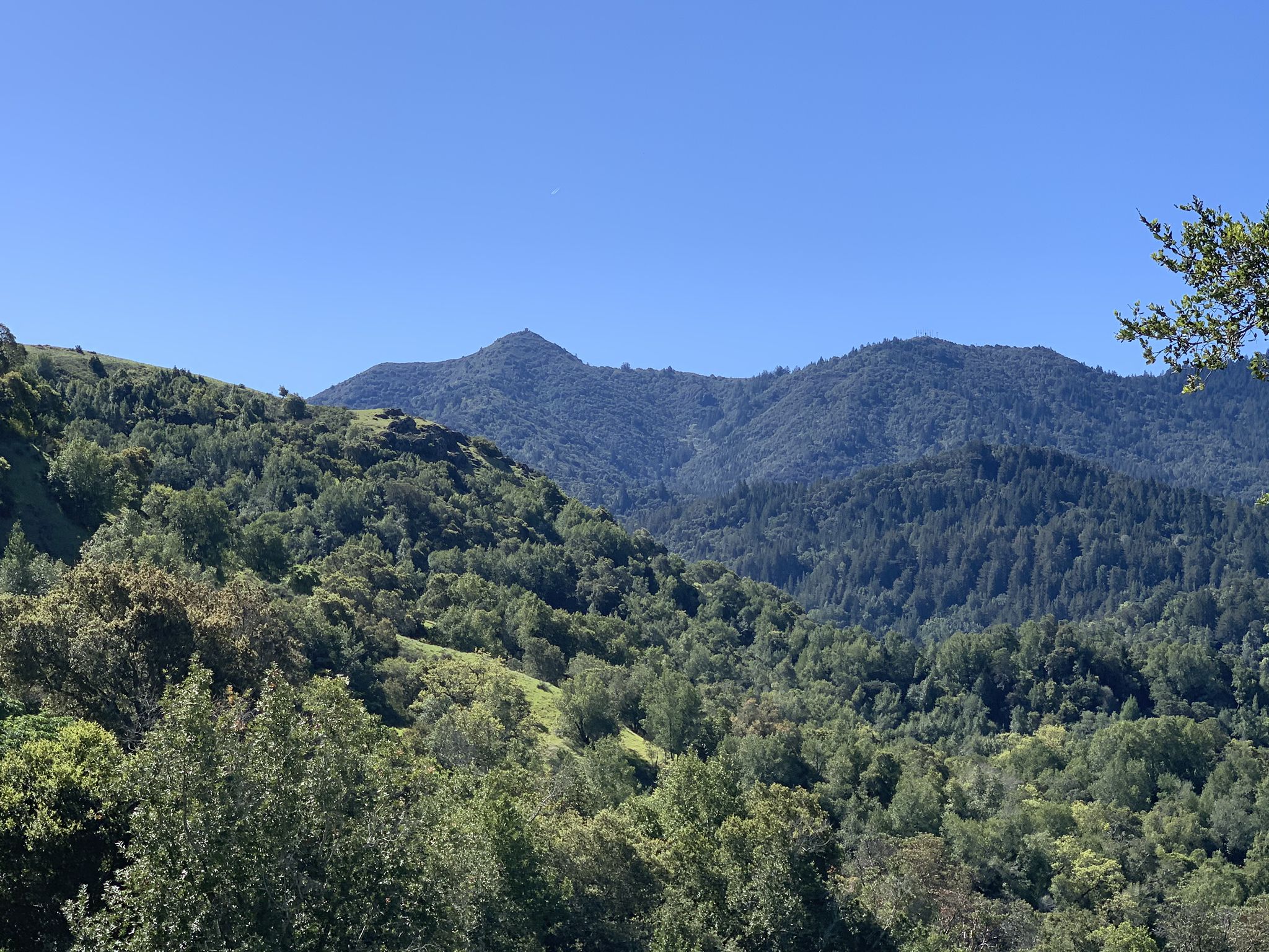 Expansive view of rolling, forested mountains under a clear blue sky. - Deer Park Loop