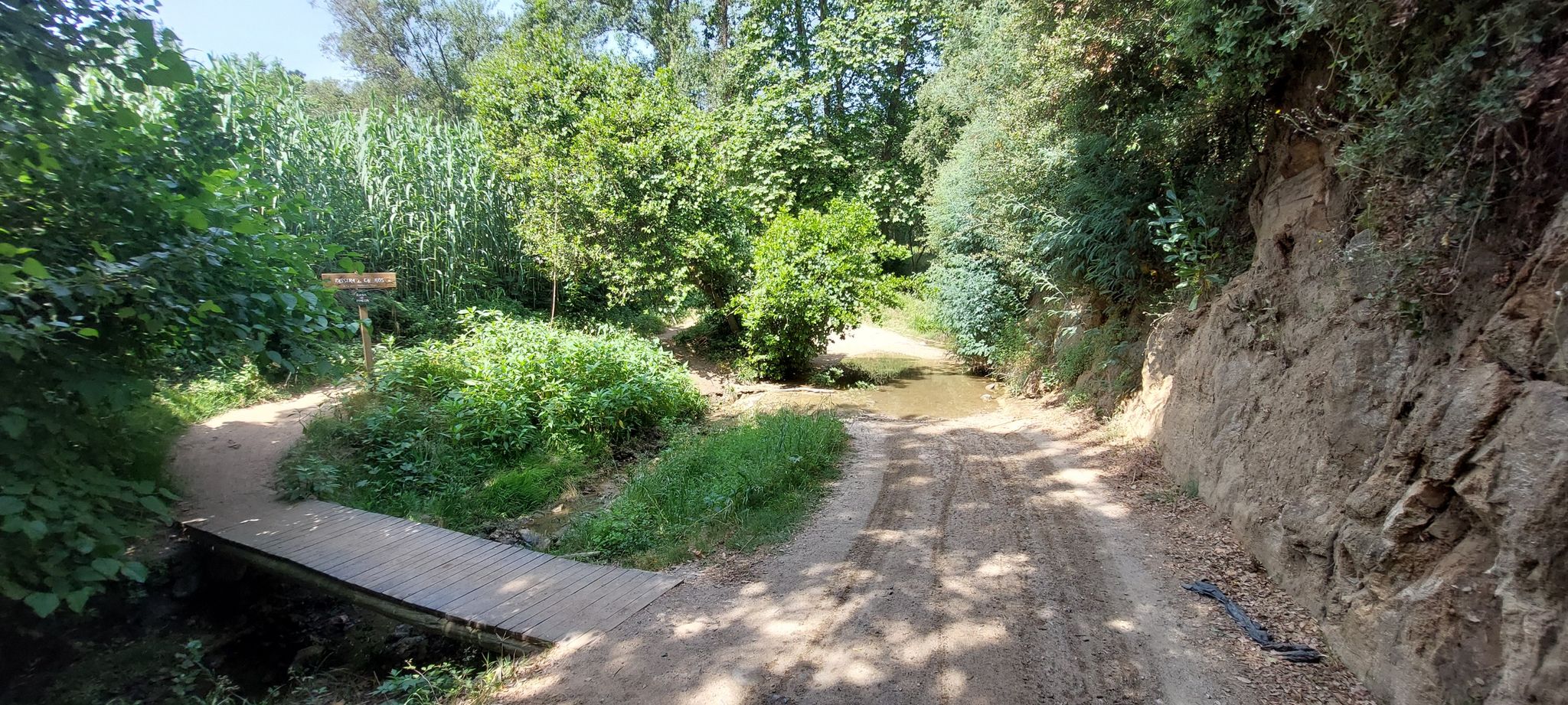 Wasserstelle mitten auf dem Weg, aber links umfahrbar