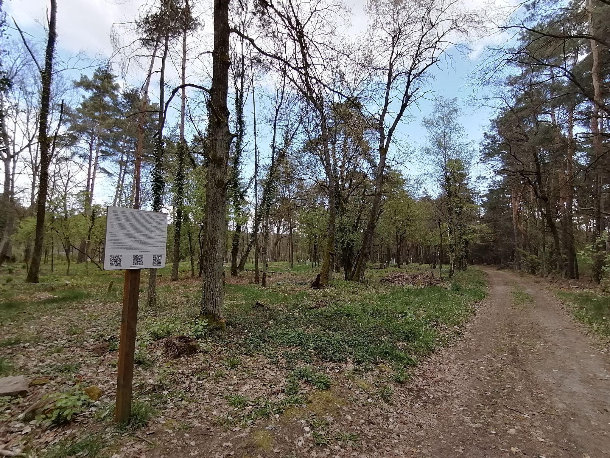 Stary Cmentarz Ewangelicki przy Autostradzie