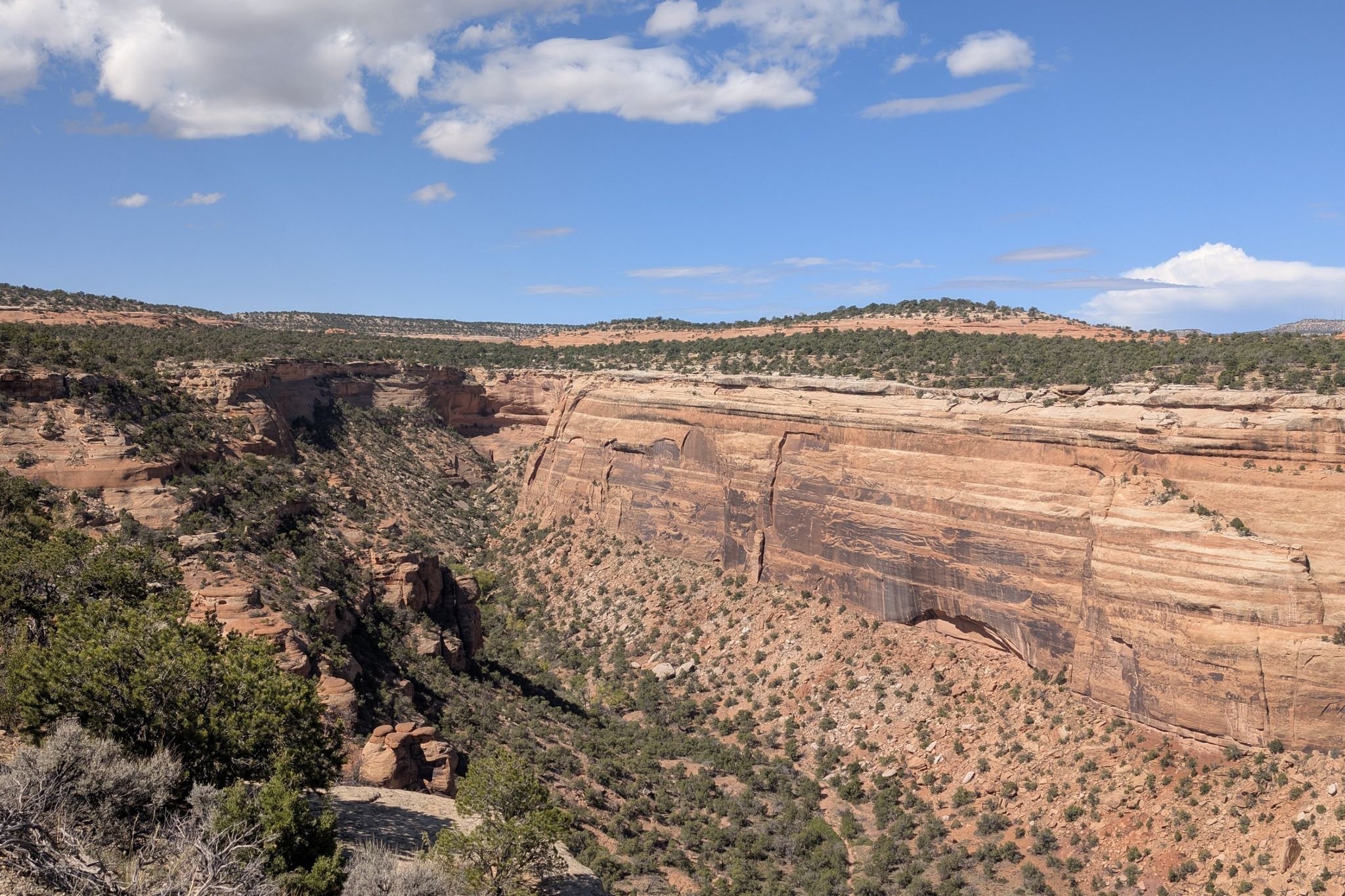 Wide canyon with layered rock walls and desert shrubs under a partly cloudy sky. - Rim Rock Drive