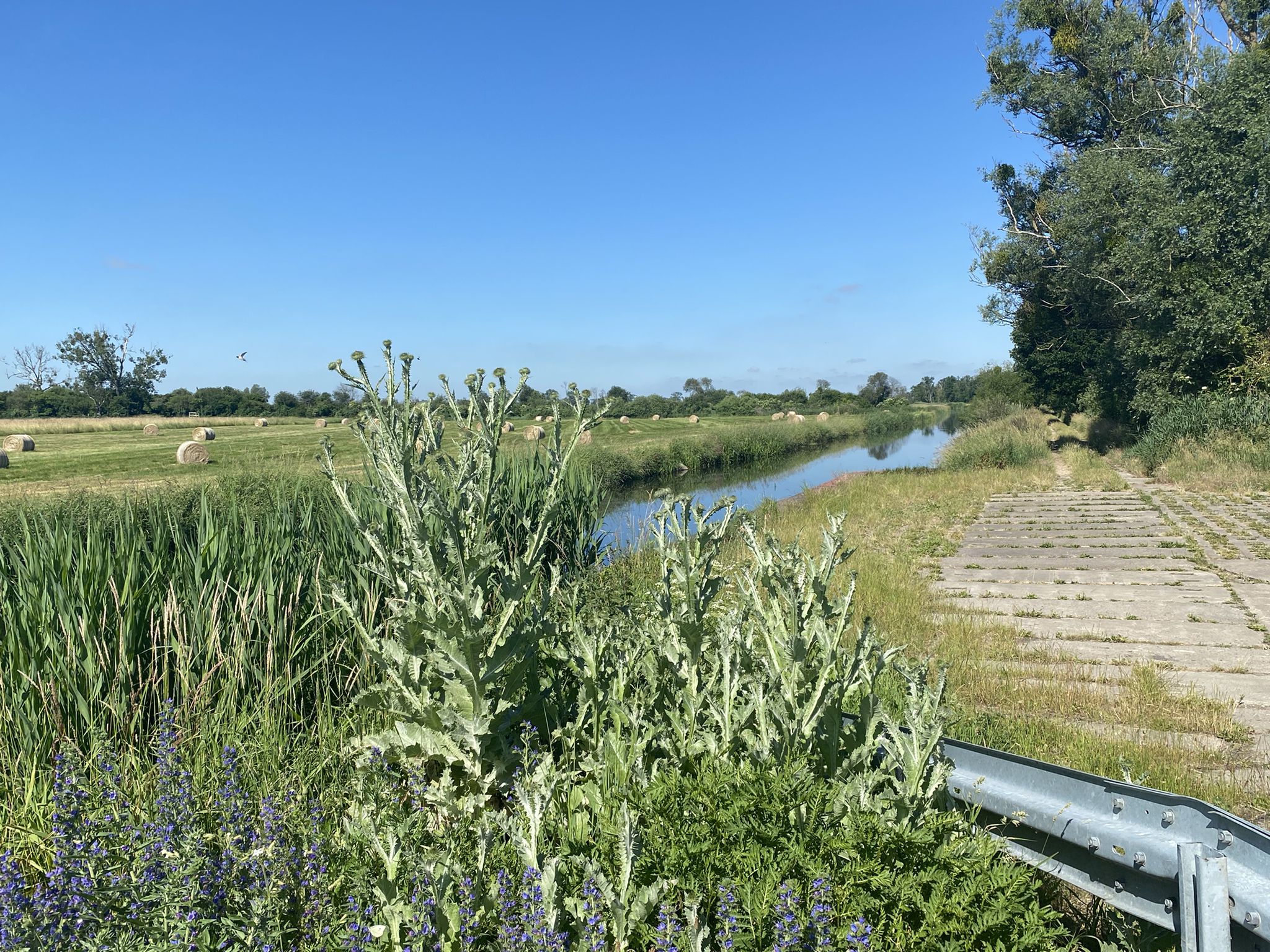 Brücke über den Landgraben bei Löwitz