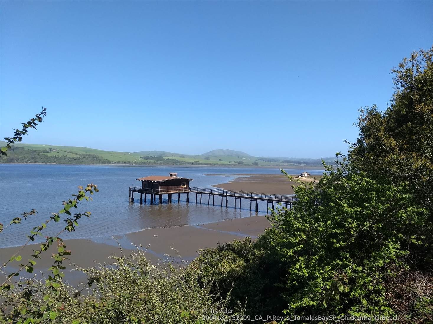 Long pier with a building extending into calm water under a clear blue sky. - Tomales Bay Ecological Reserve – Chicken Ranch Beach loop from Olema