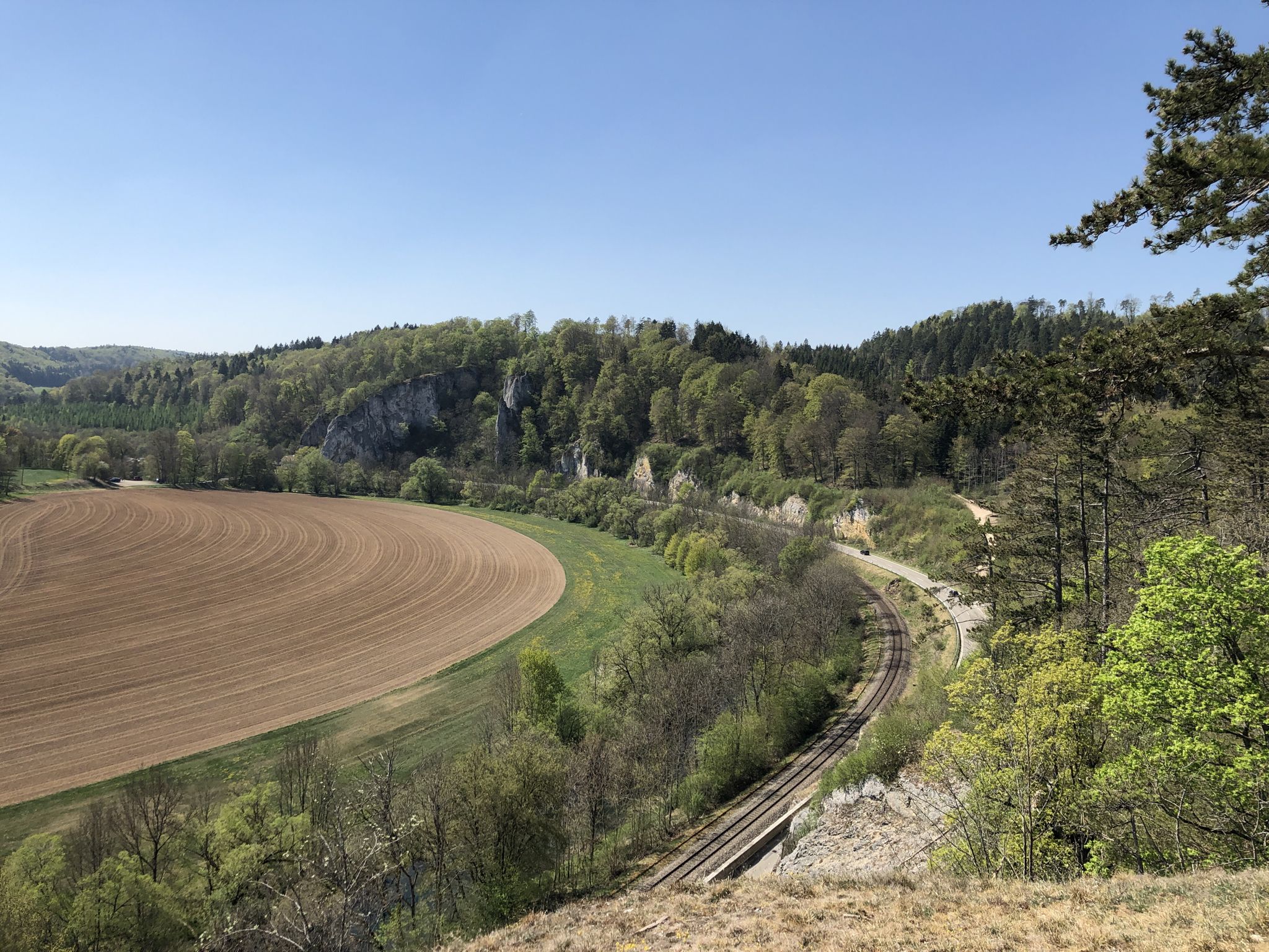 Aussicht zu Felsen und Donauauen