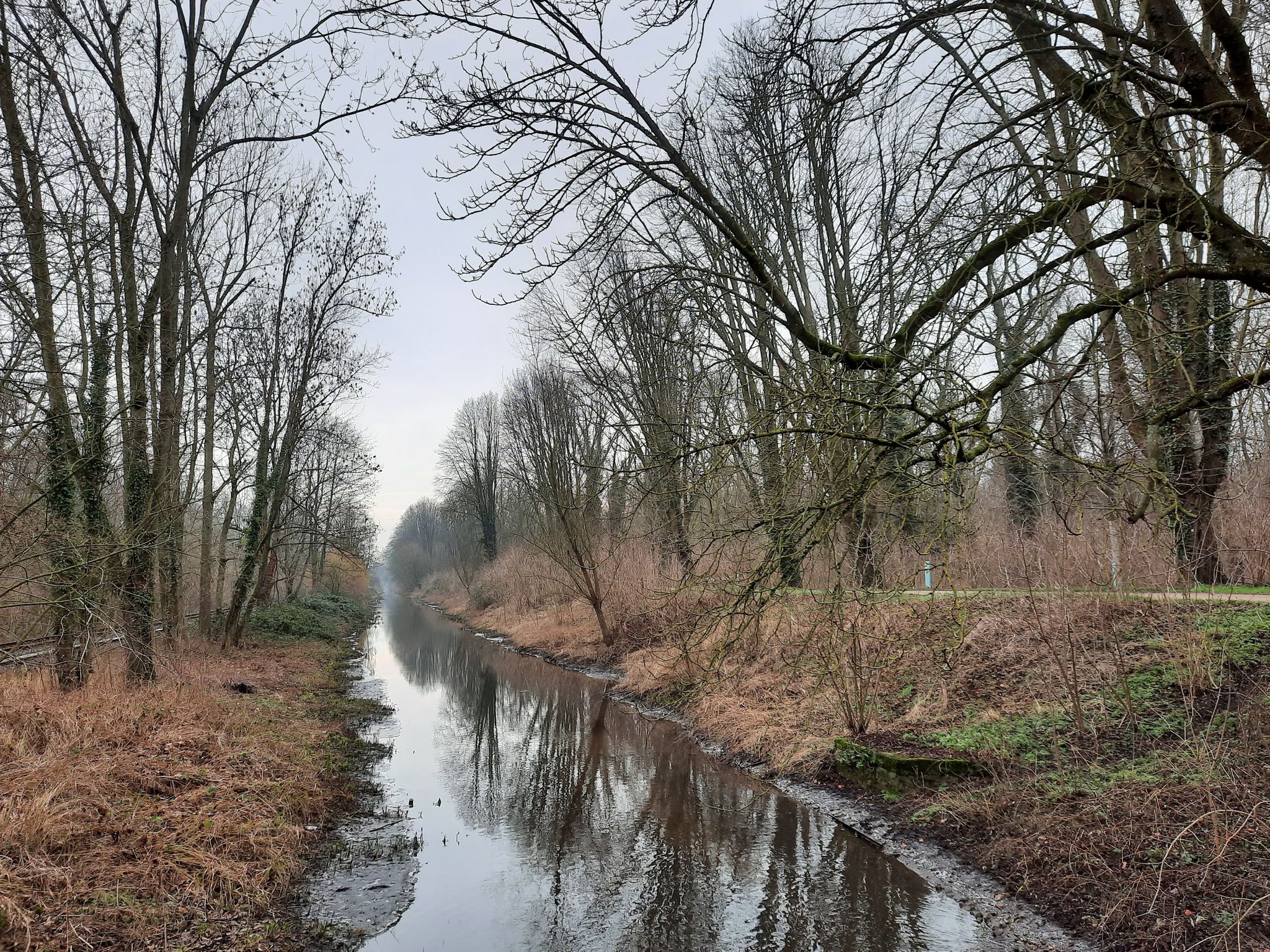 Nordkanal  und Kastanien Allee im Stadtwald