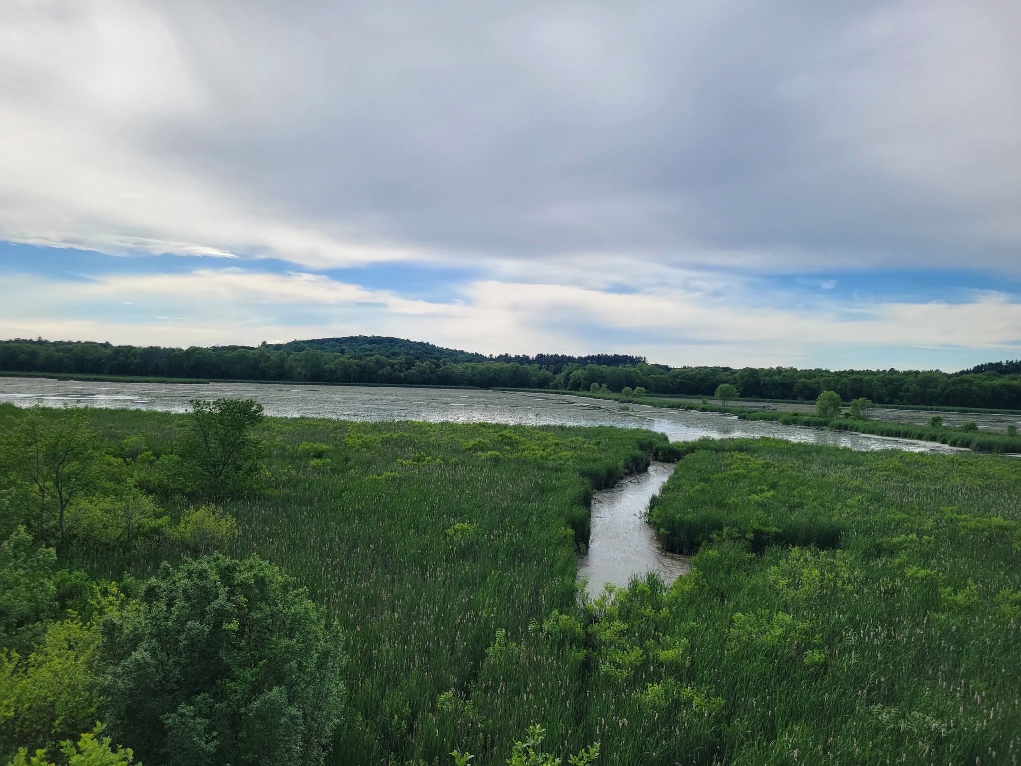 Wide view of a river winding through green marshland under a cloudy sky. - Concord Monument Square – Reformatory Branch Trail loop from Concord