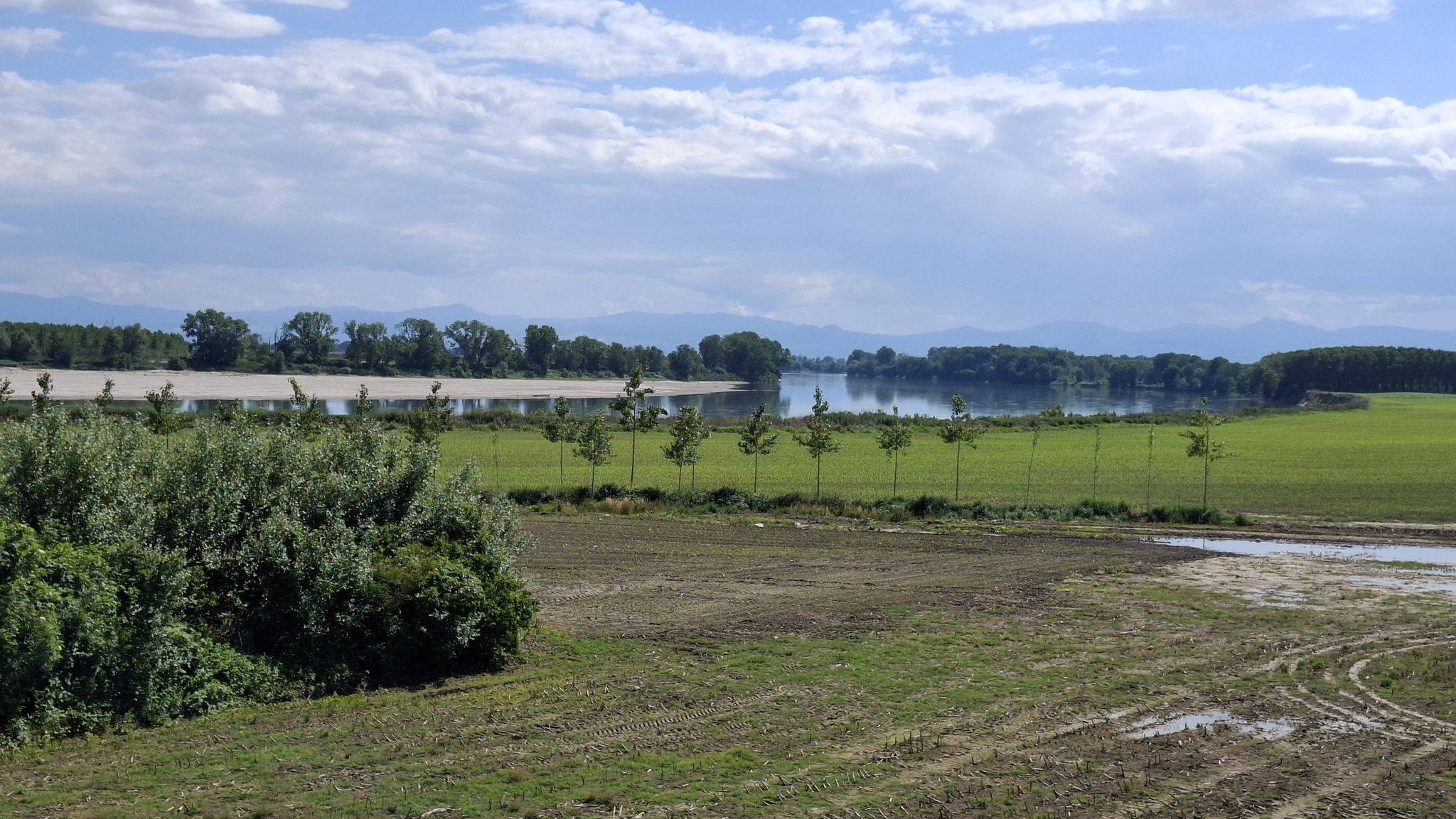 Il Po nella zona di Somaglia.