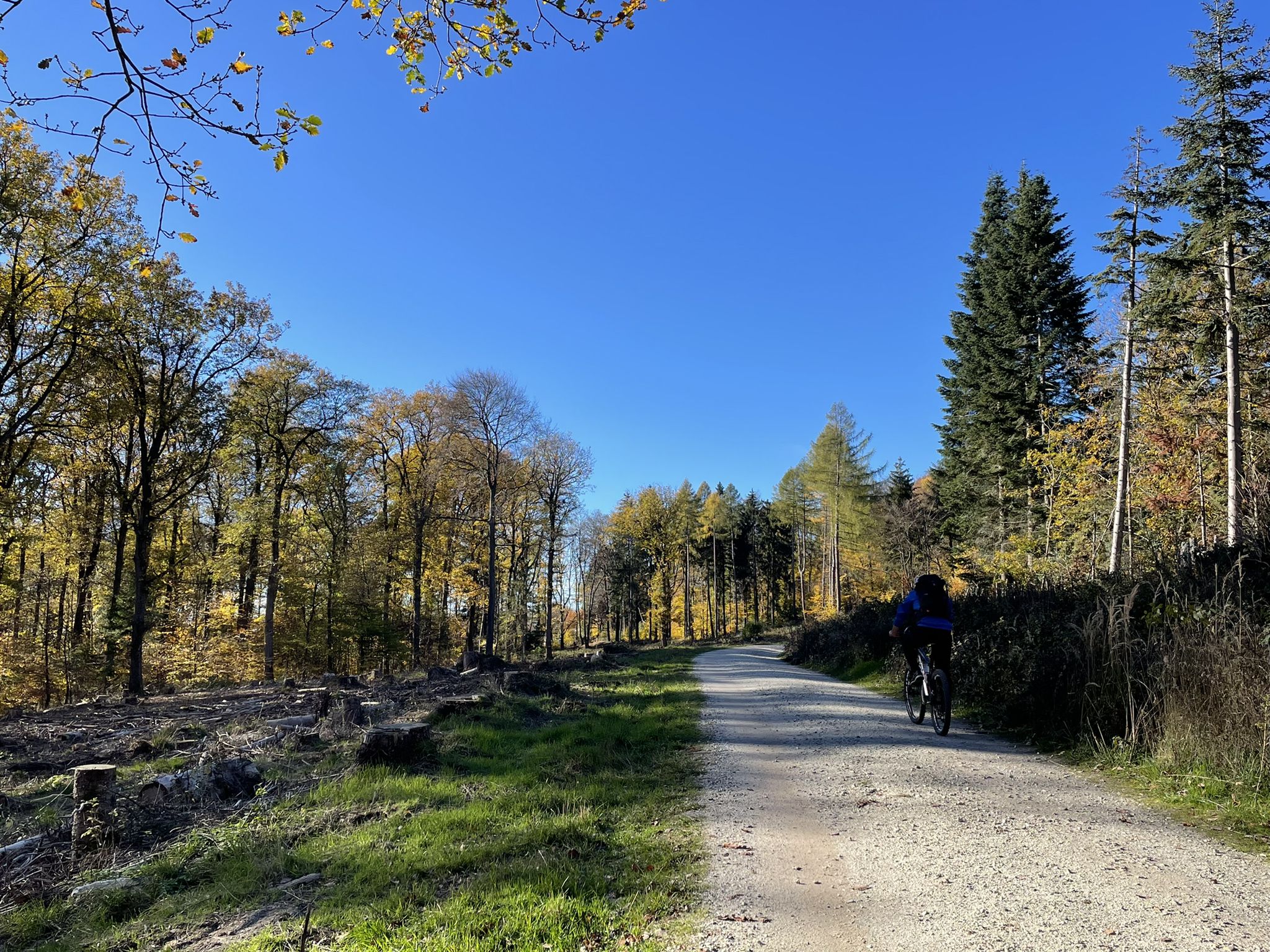 Ein Traum von Novemberwetter!😍☀️