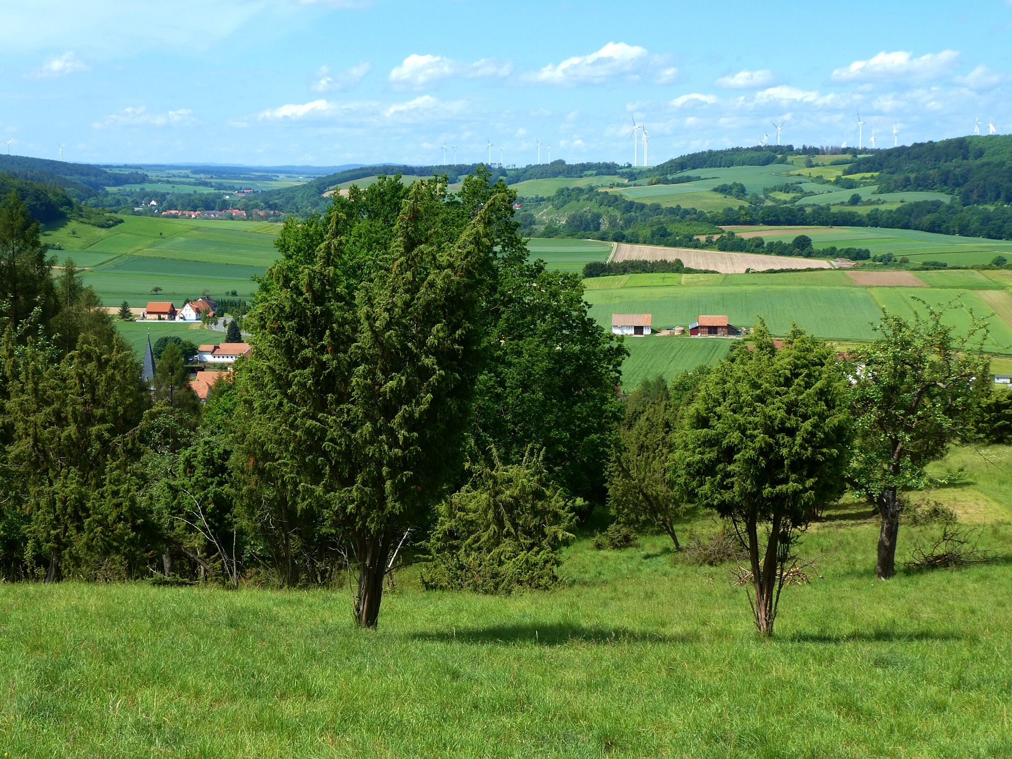 Ostheimer Hute