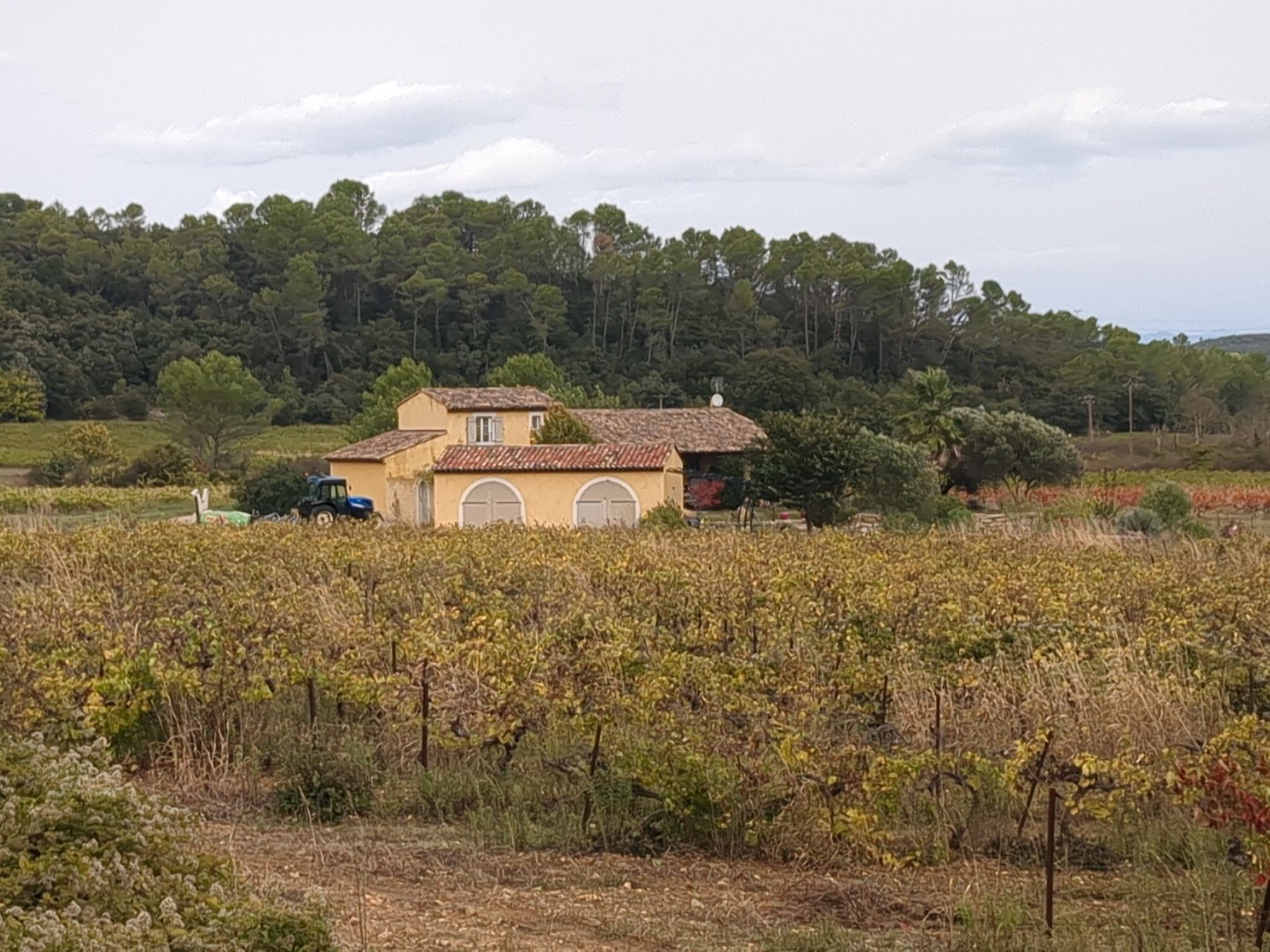 Kleines Weingut