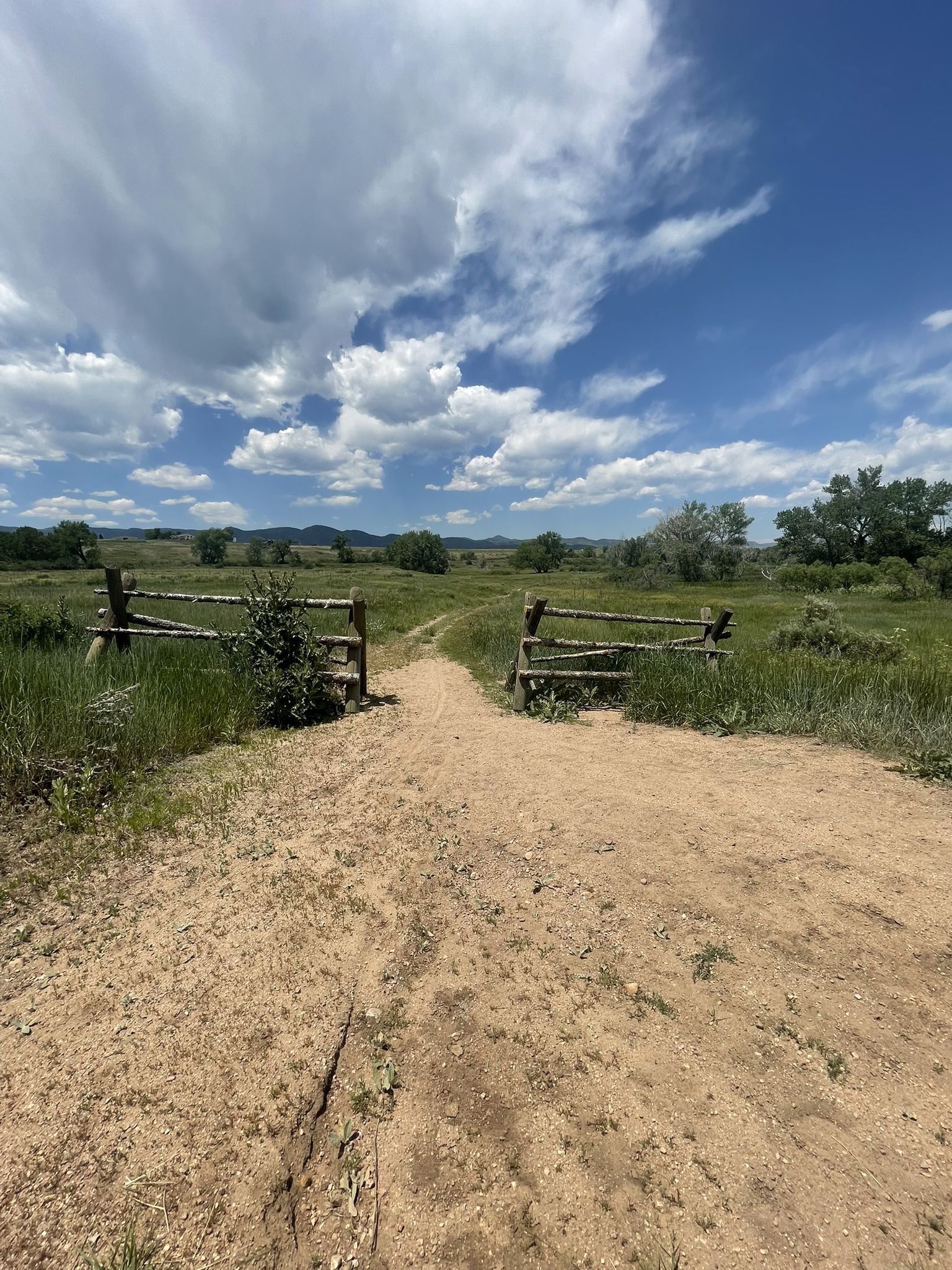 A dirt path leads through a wooden fence into a sunny, green field under a cloudy sky. - High Line Canal Trail: Plum Creek Break
