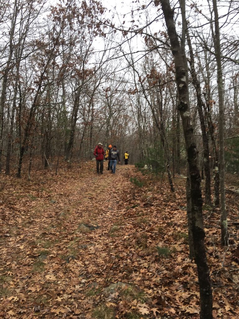 Group of people walk on a leaf-covered path through a bare forest. - Borderland State Park – Puds Pond loop from Langwater Pond Management Area