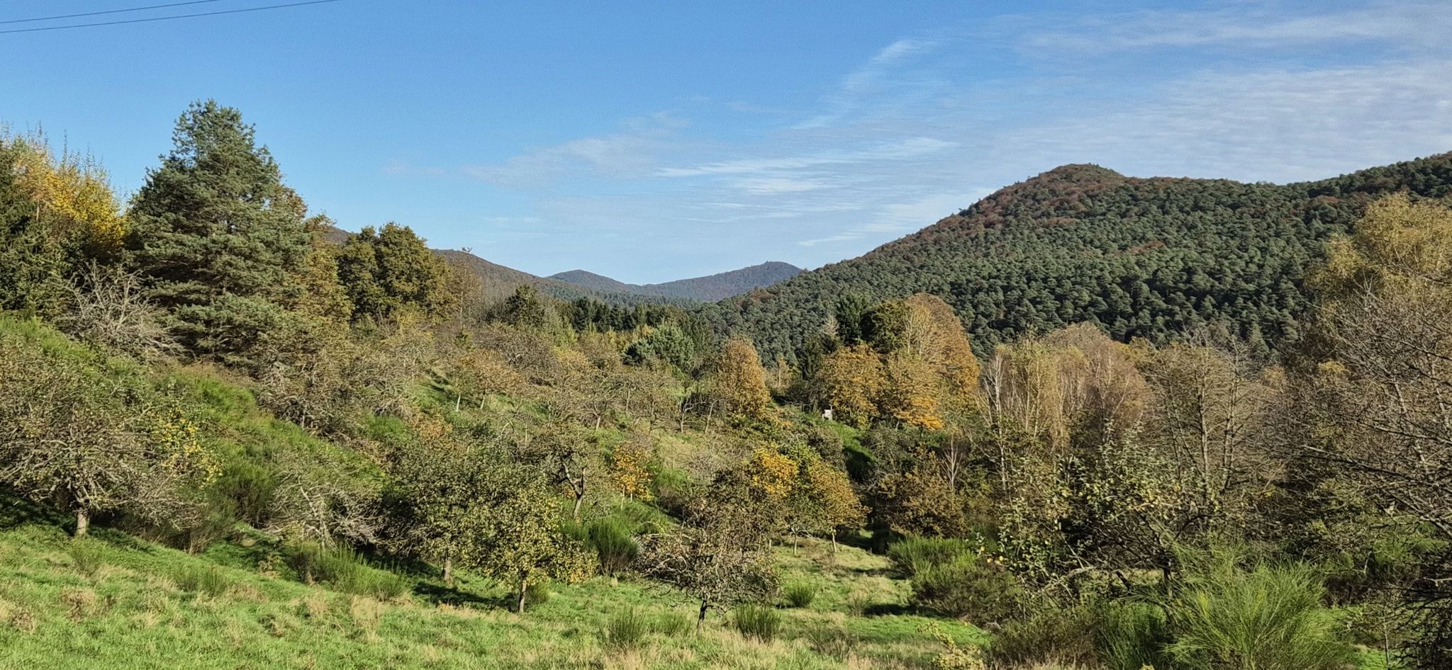 Auf der Spirkelbacher Rauberg-Tour