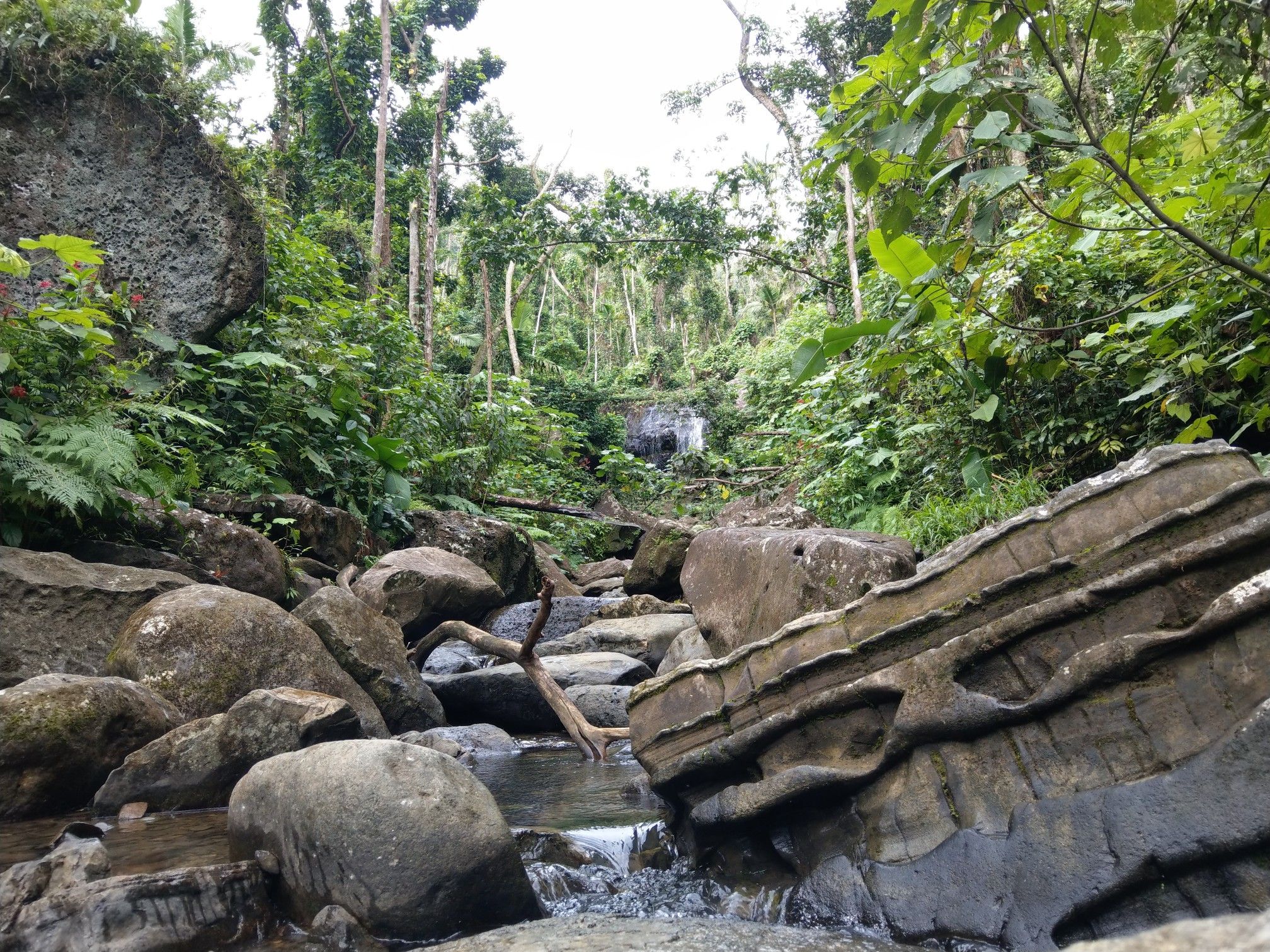 Rocky stream leading to a small waterfall in a lush, green forest. - La Coca Falls – River crossing loop from Río de la Mina