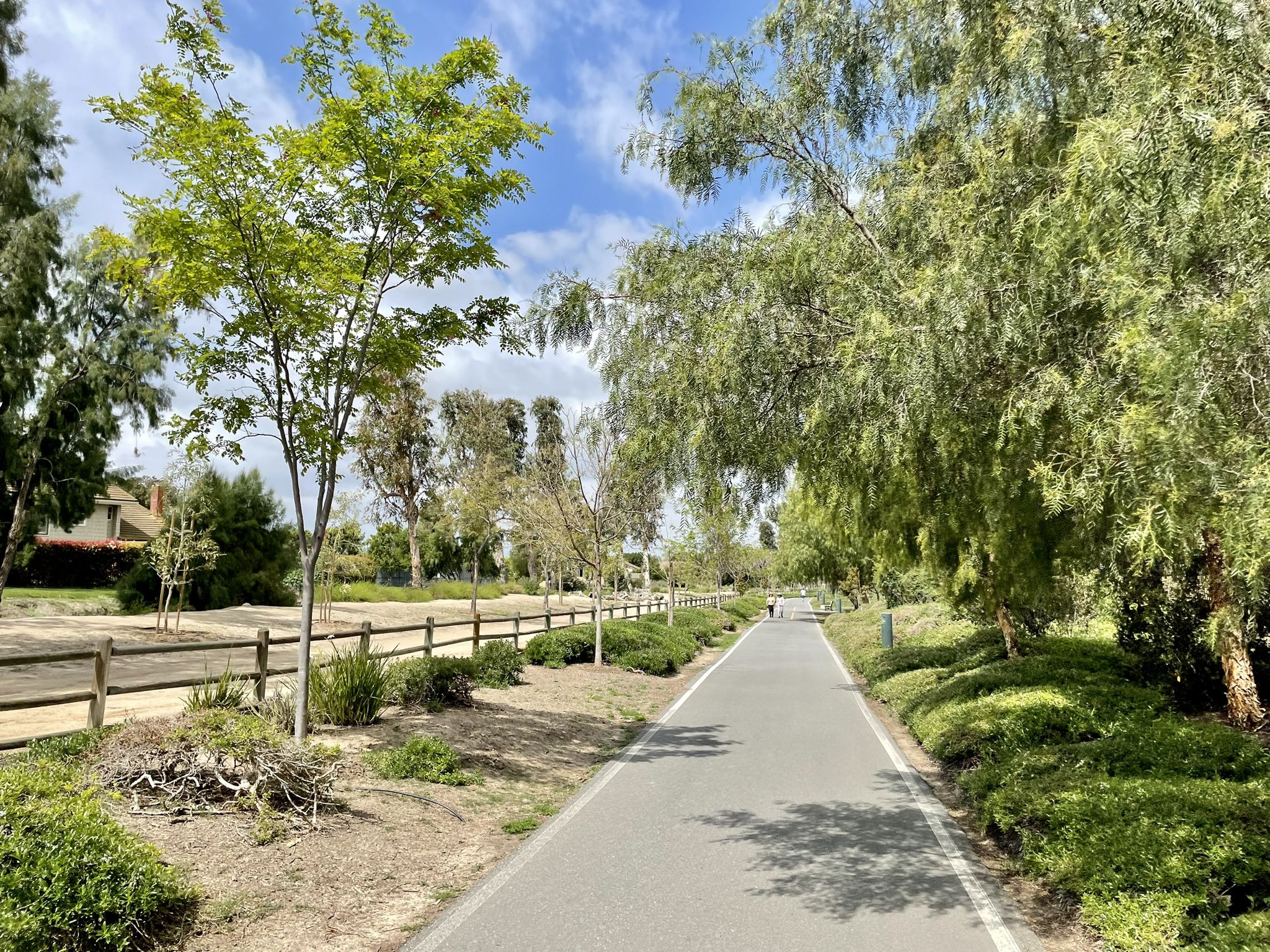 Paved path lined with green trees and a wooden fence on a sunny day. - Upper Peters Canyon Reservoir – Hicks Canyon Trail loop from Santiago Canyon College