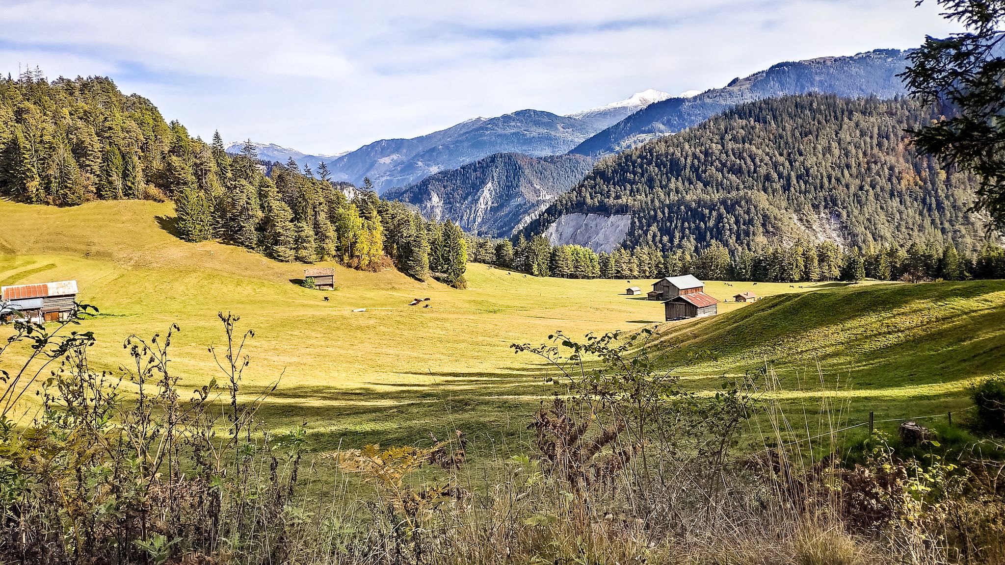 Blick Richtung Felsenstrasse und Feldis.