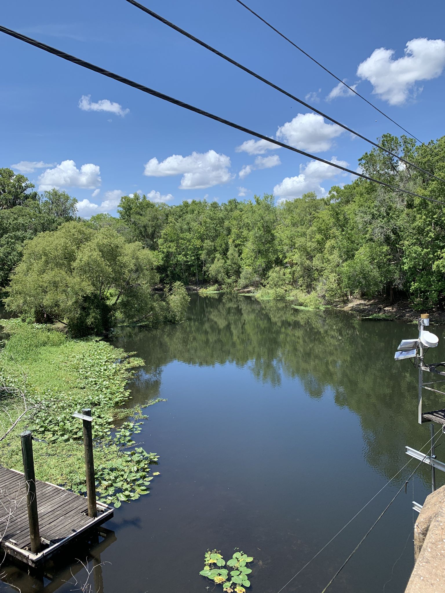 Wide river with lush green banks under a bright blue sky. - Enchanted Trail – Boardwalk Through Lush Forest loop from Wilderness Park