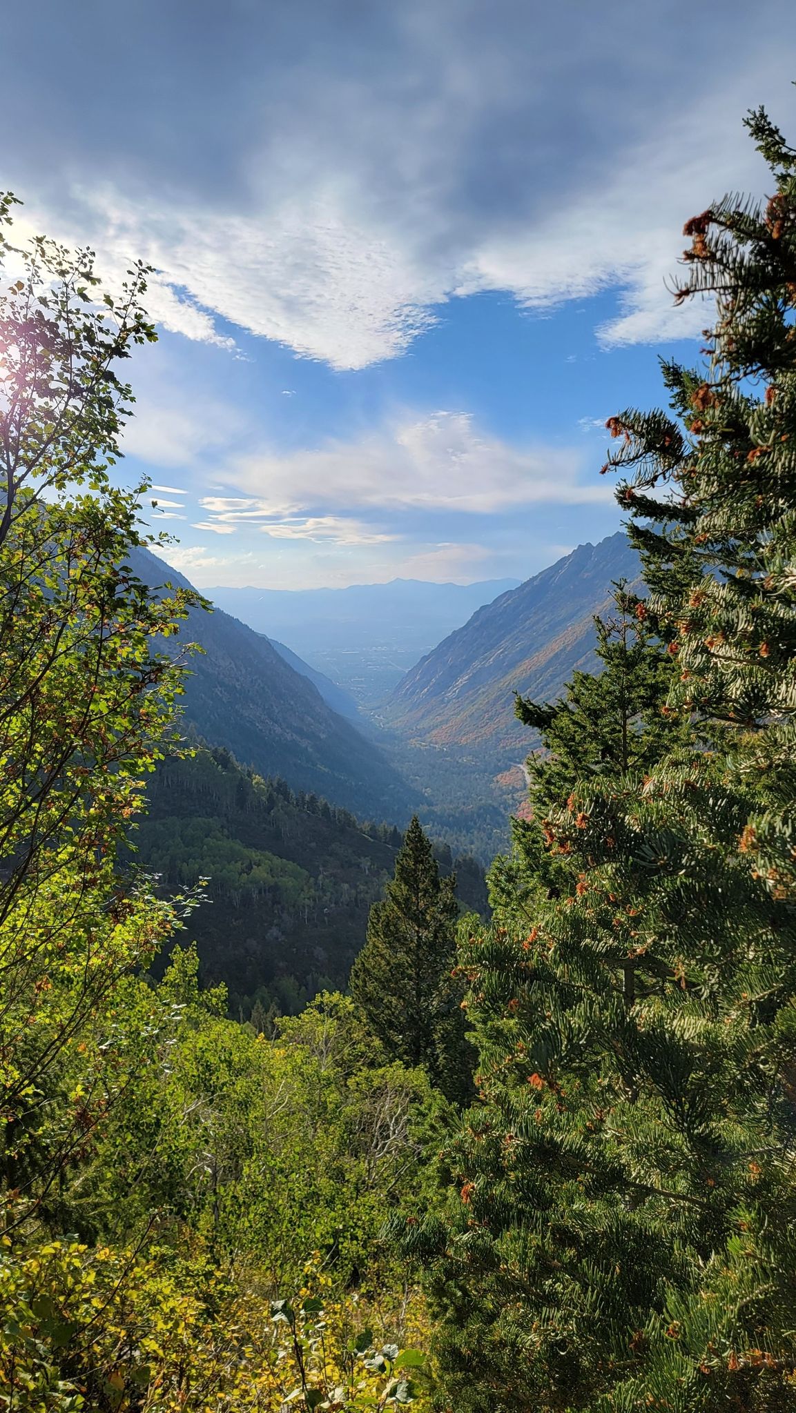 Scenic mountain valley viewed through green trees under a bright, cloudy sky. - Red Pine Trail