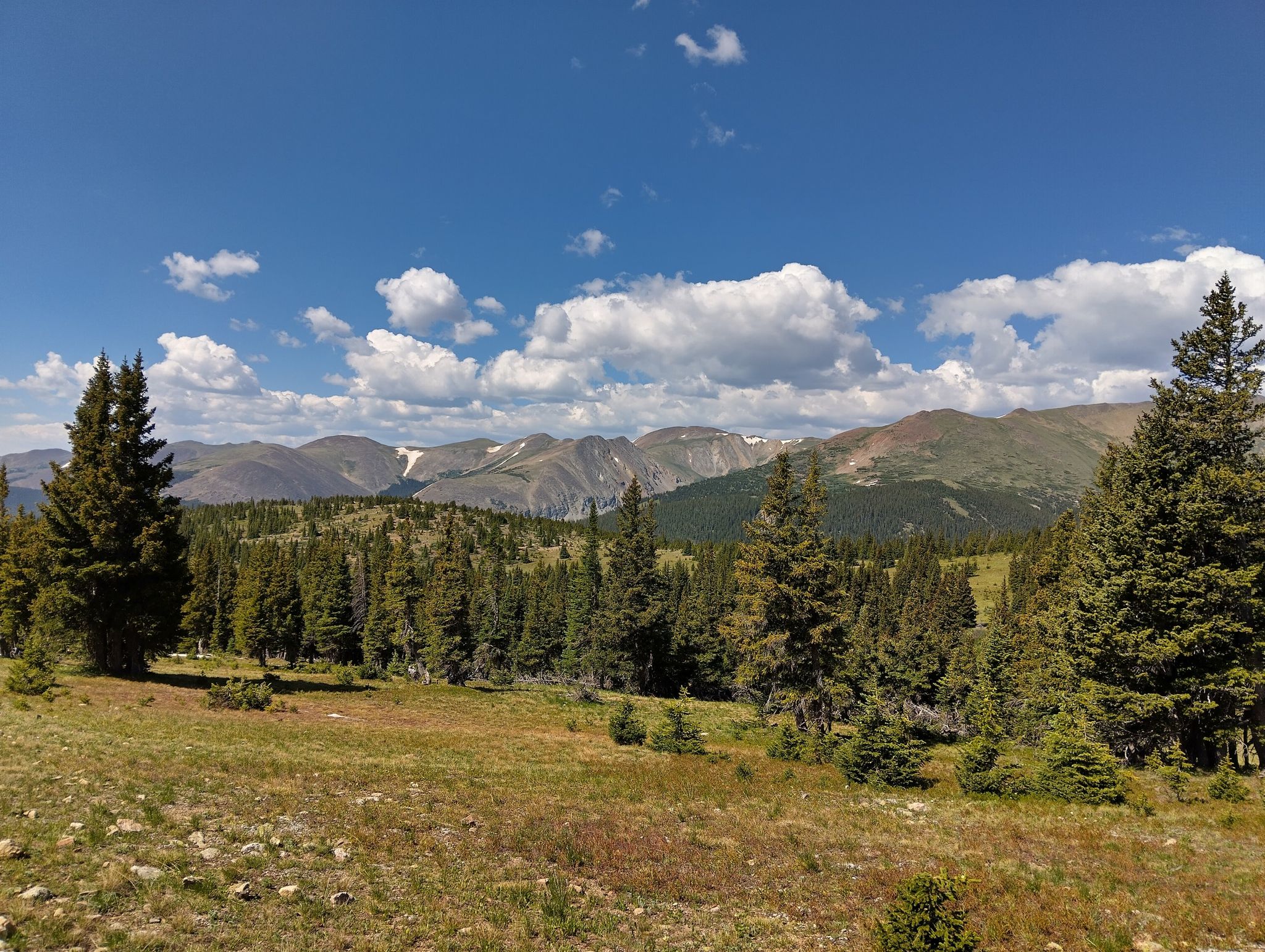 Scenic mountain range with pine forests under a clear blue sky with clouds. - Colorado Trail and West Jefferson Trail Loop