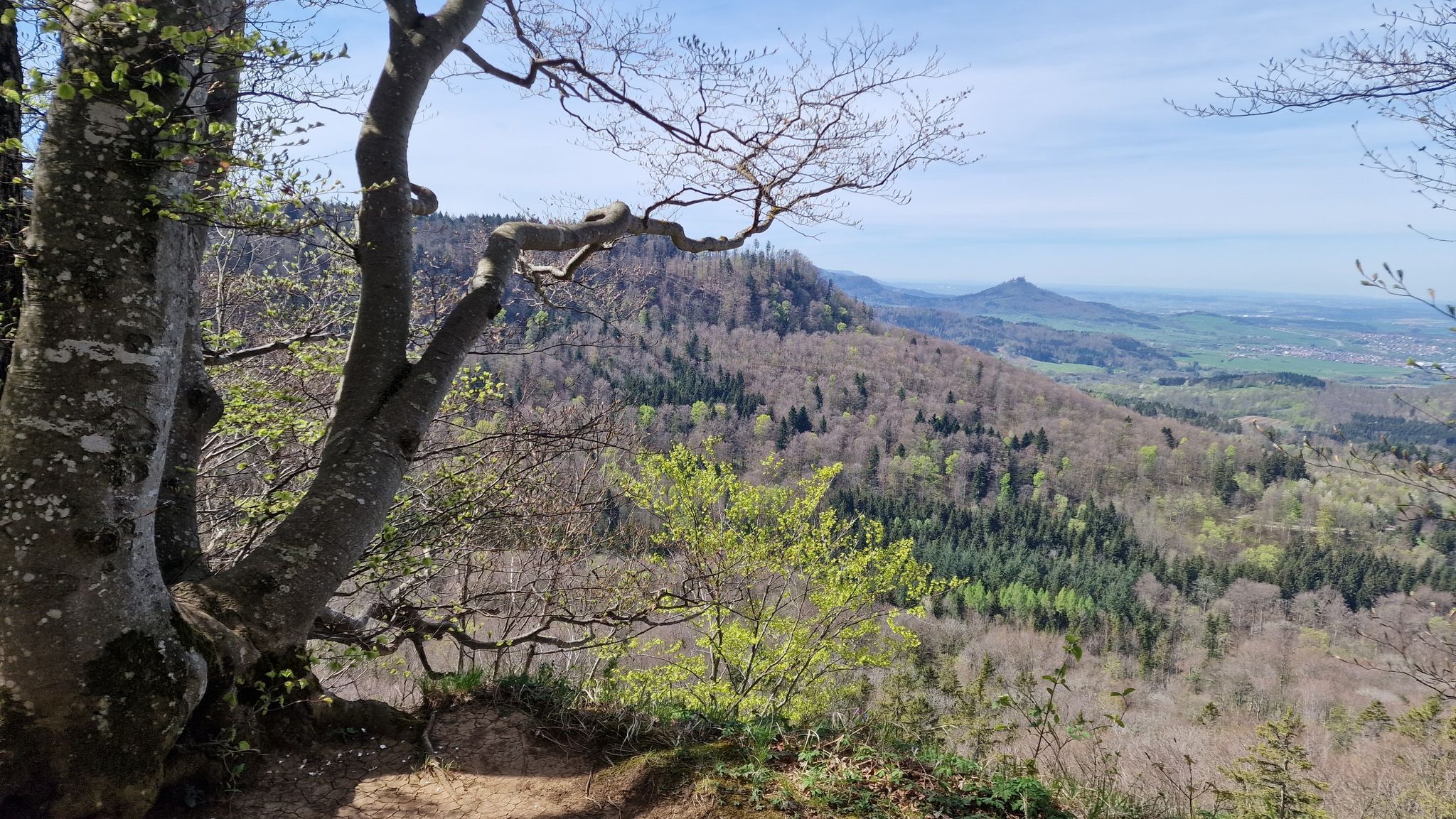 herrlicher  Hangweg