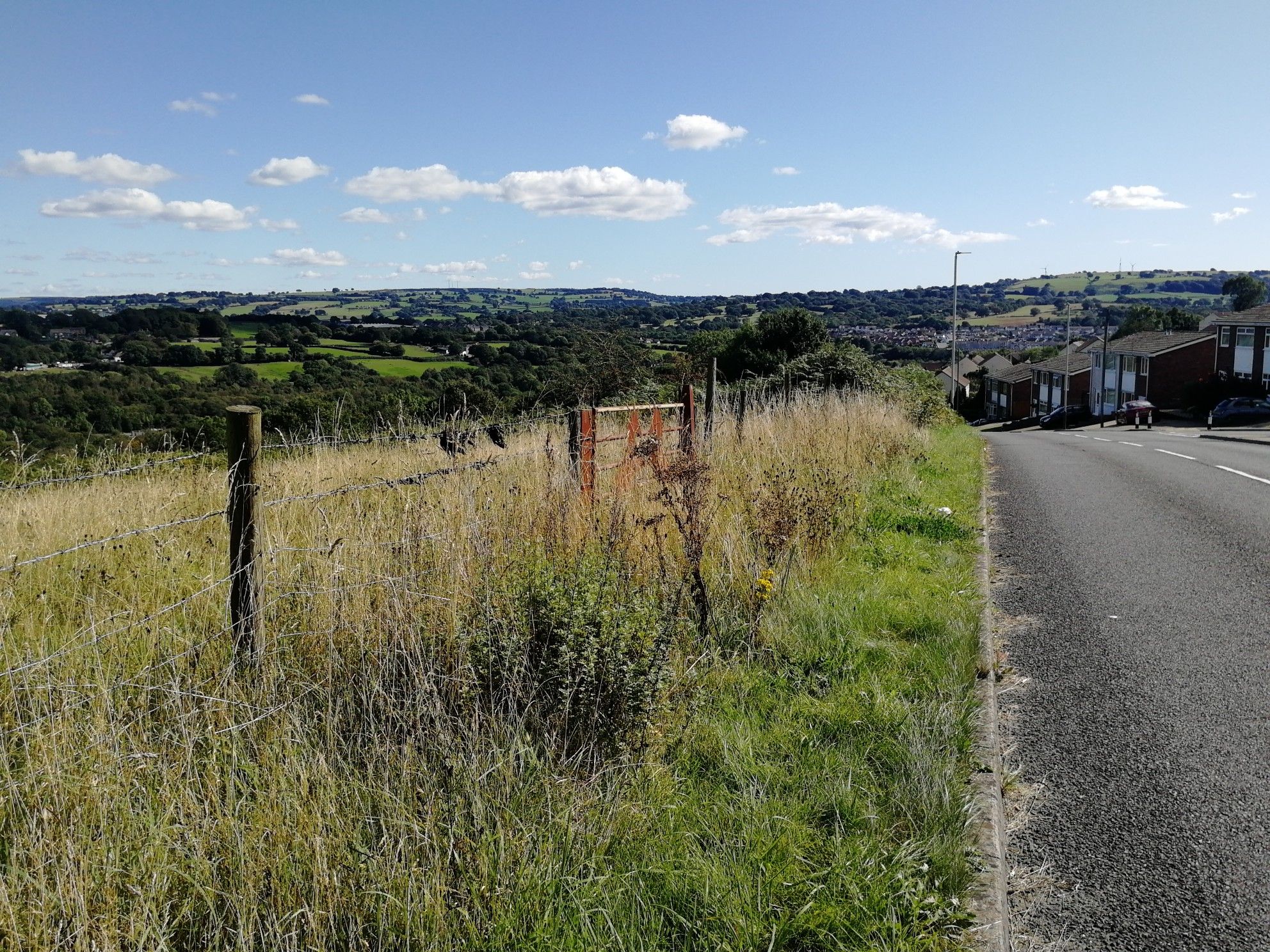cefn view