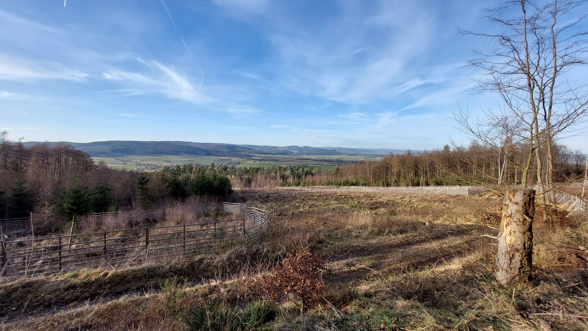 Blick über Warzenbach