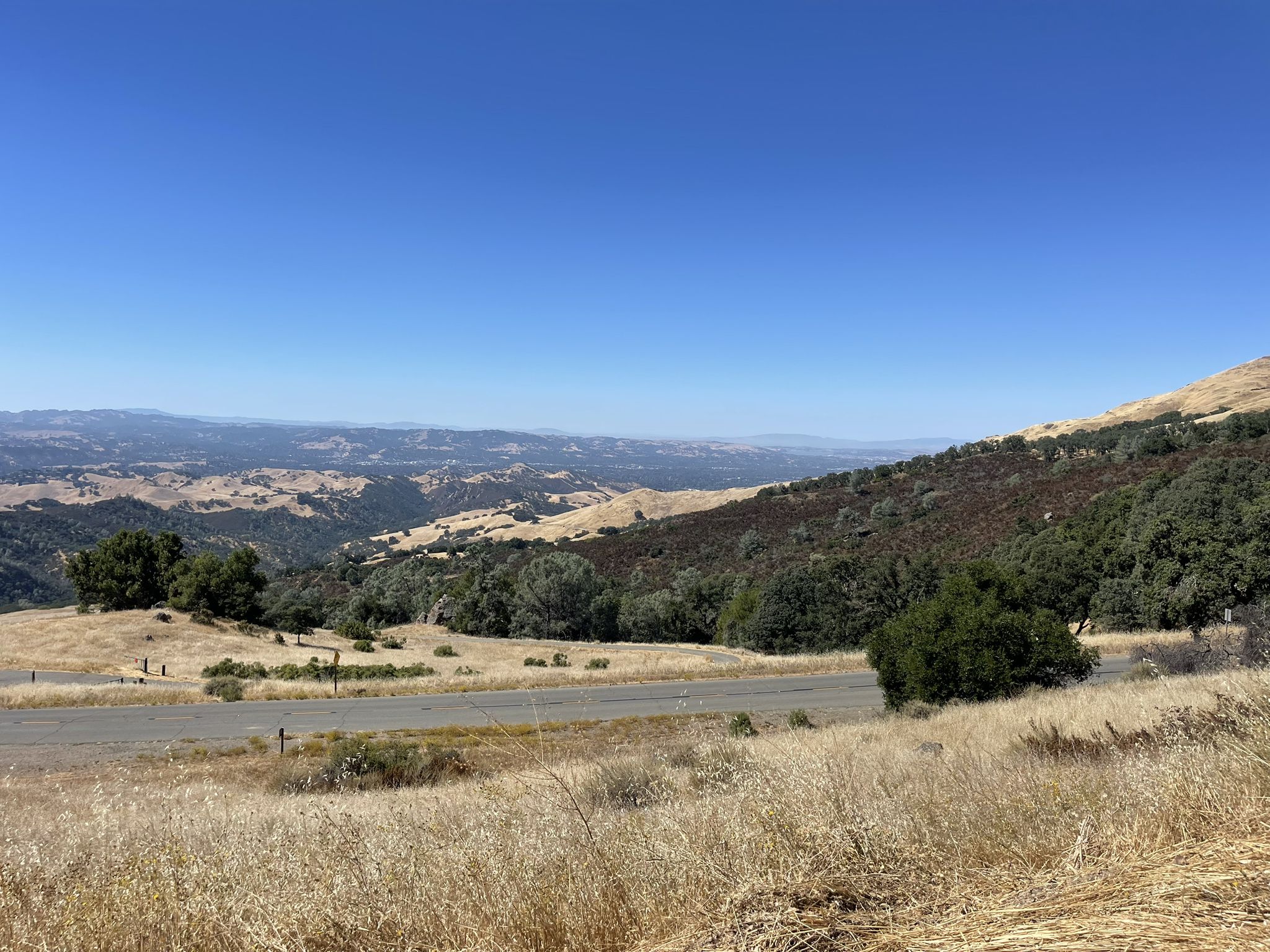 A paved road winds through dry grassy hills with scattered trees under a clear sky. - Iron Horse Trail junction – Heather Farm & Lake loop from North Gate