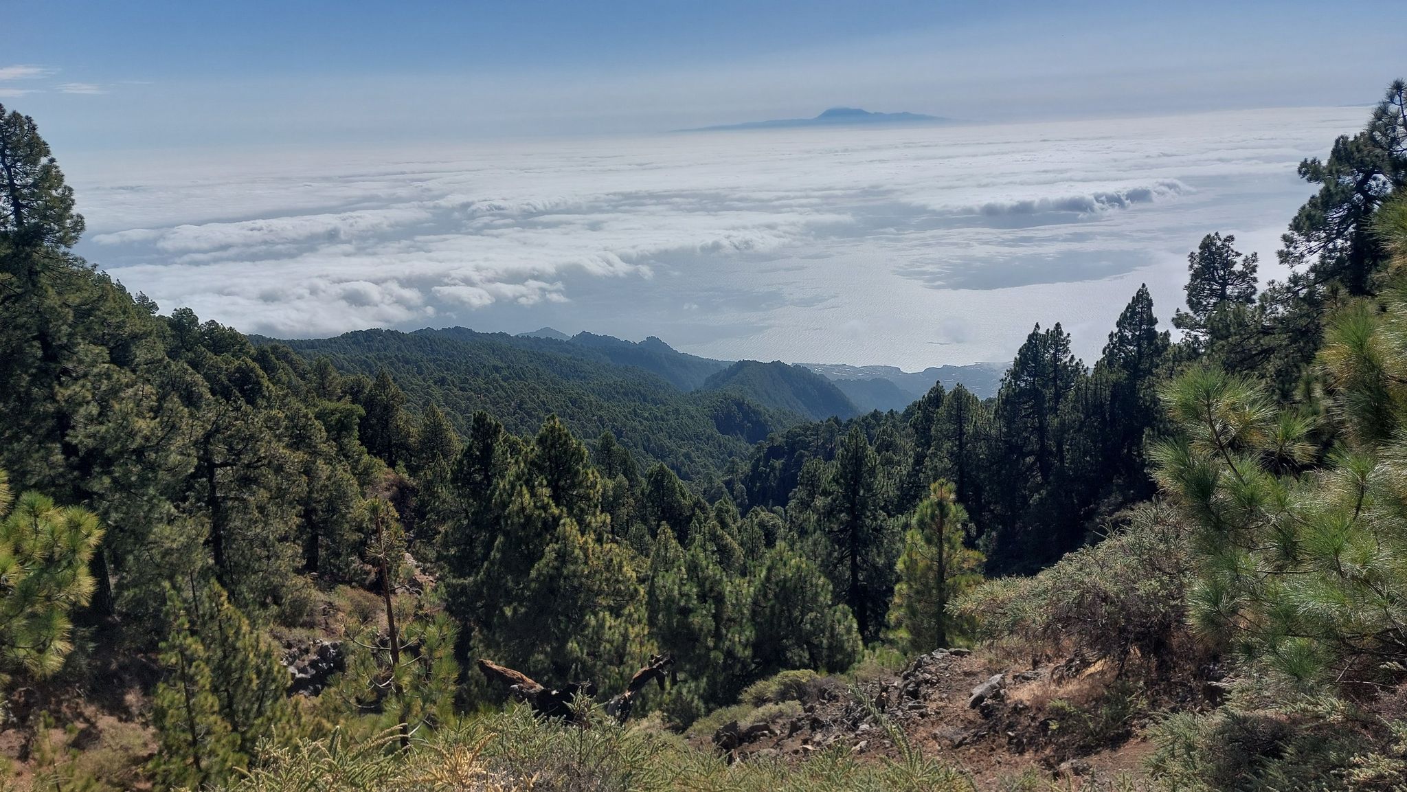Teneriffa
