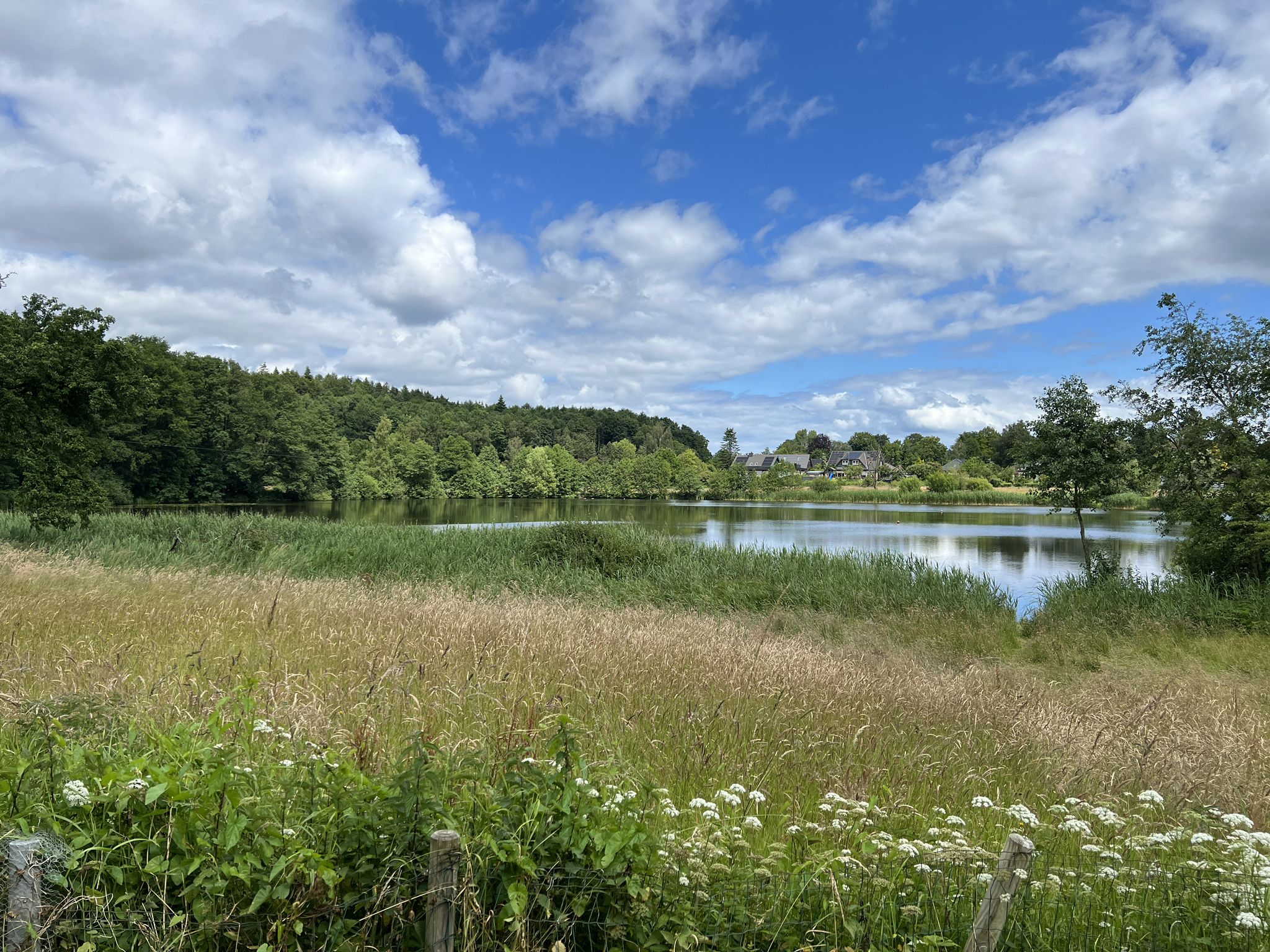 Blick auf den Holtsee