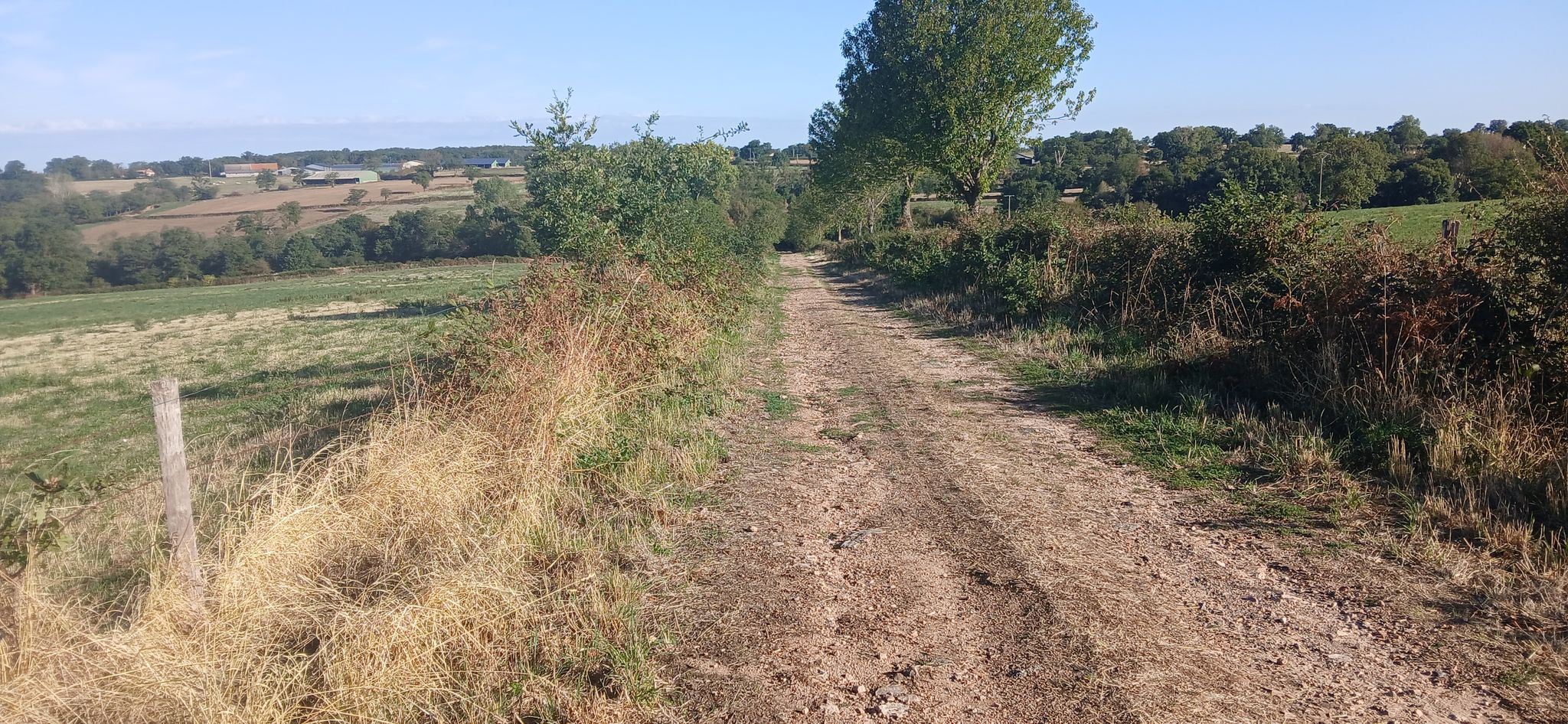 Chemin qui va aux Dagourets.